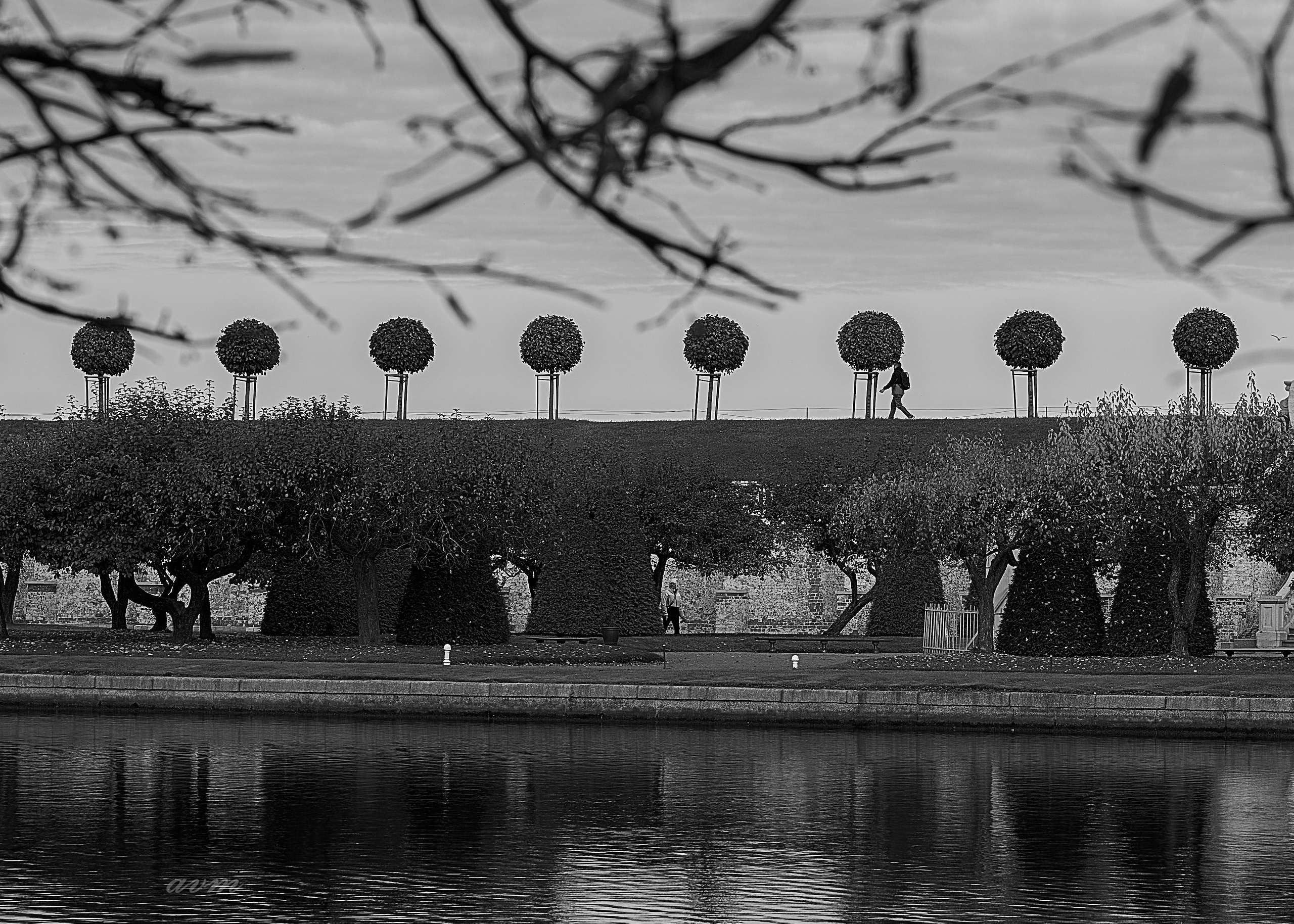 Петергоф. Фотограф Михеев Андрей