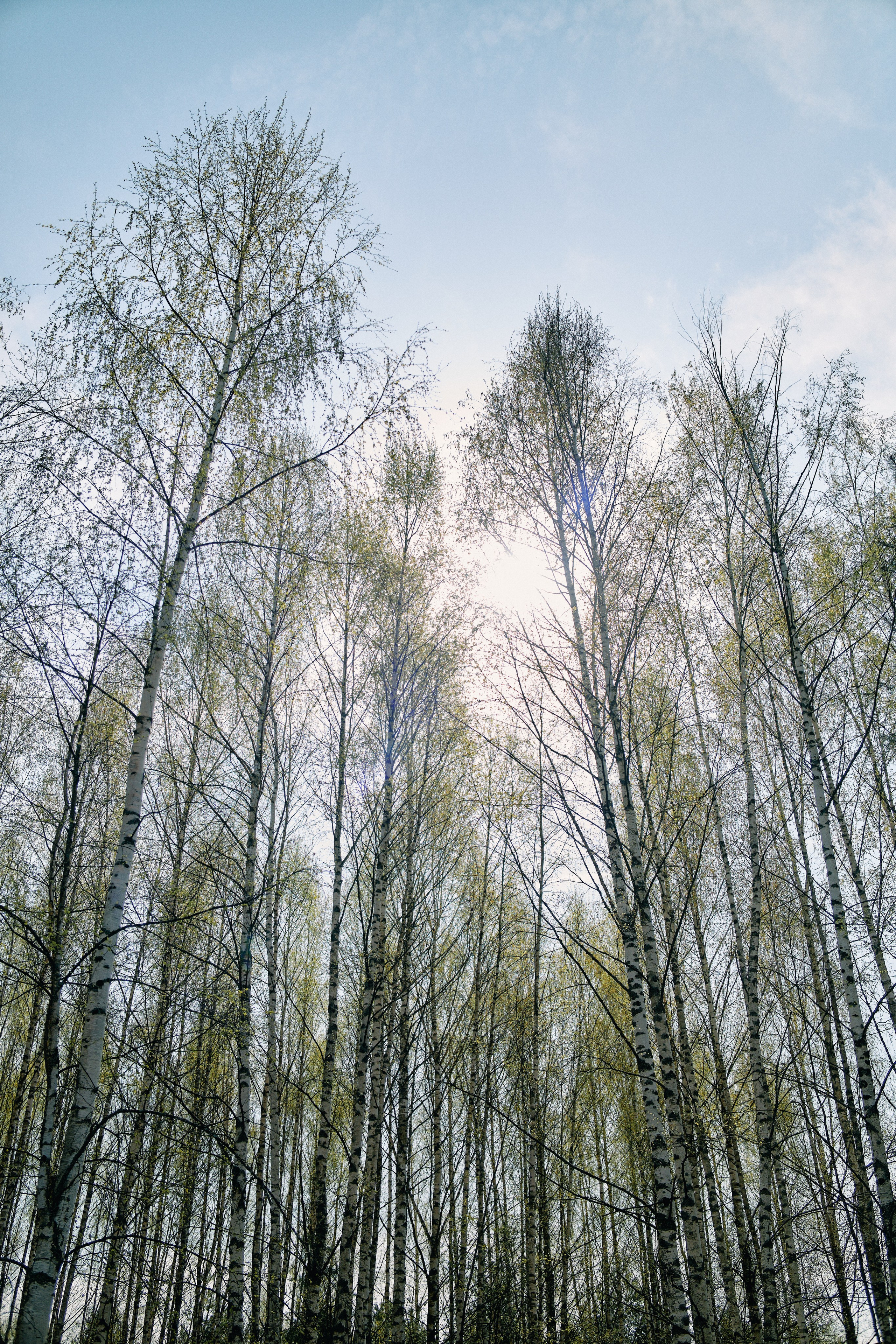 Бутик-отель Поле летом. Профессиональный Фотограф во Владимире, в Москве и в Суздале — Полина Романычева