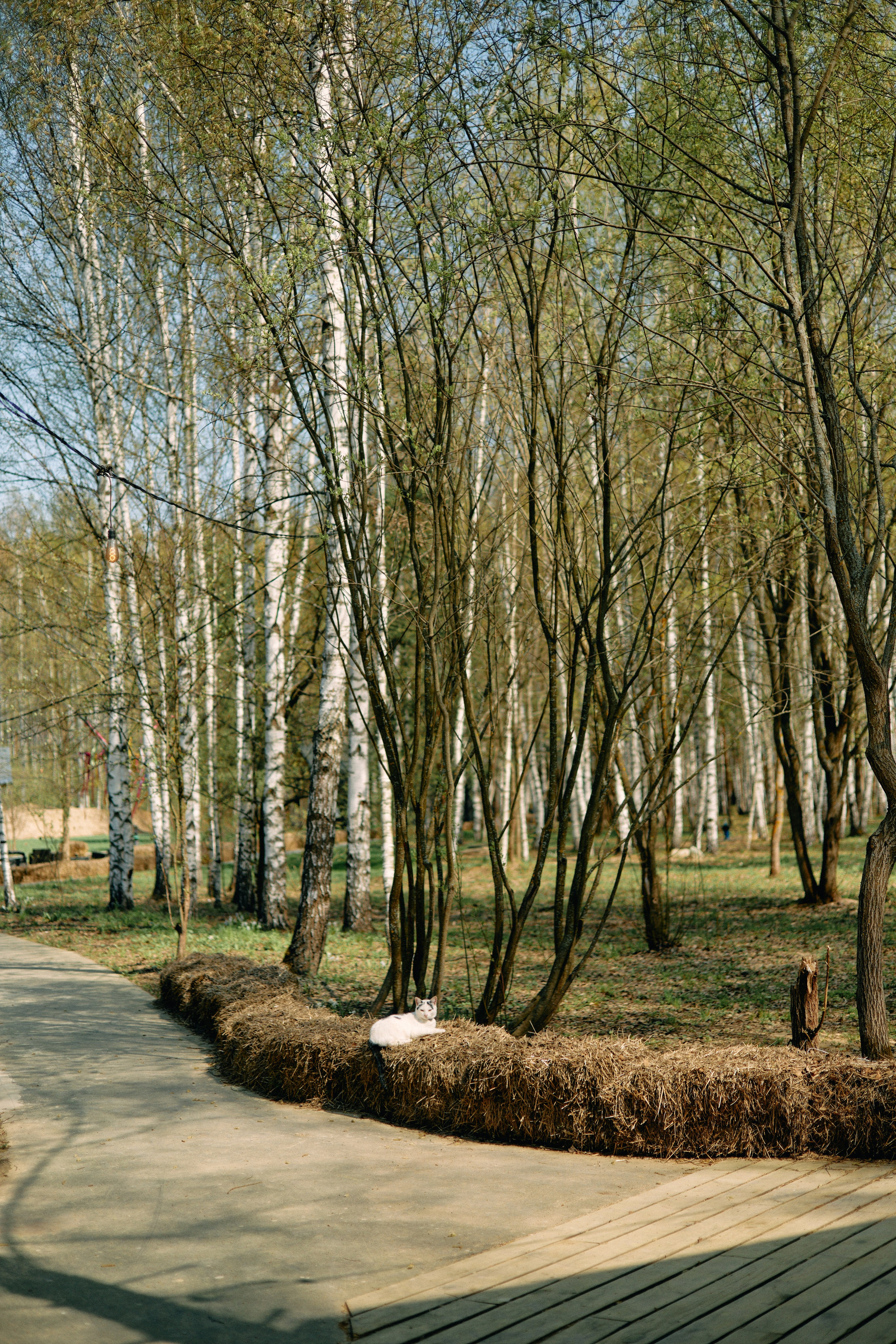 Бутик-отель Поле летом. Профессиональный Фотограф во Владимире, в Москве и в Суздале — Полина Романычева
