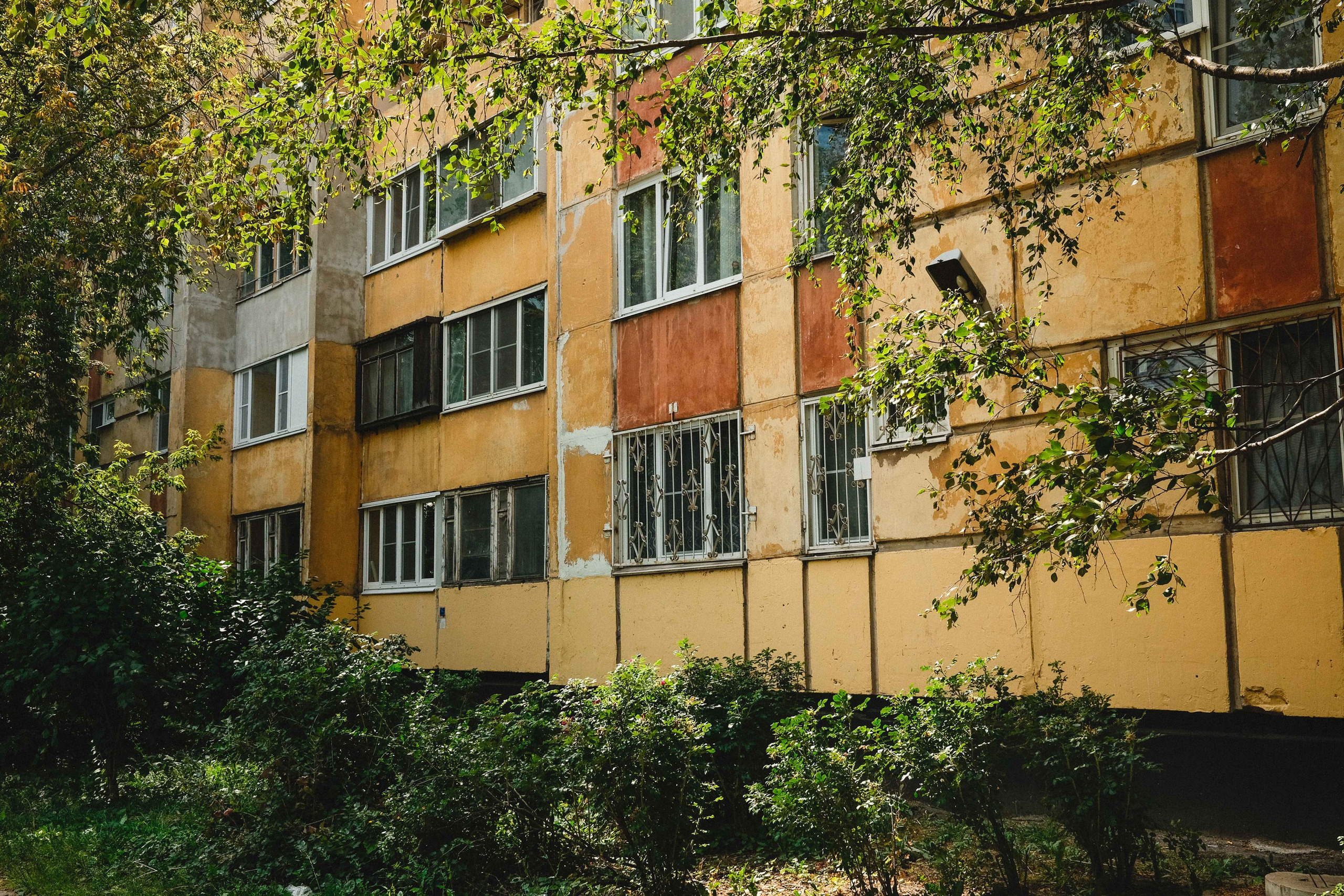 2023.07. Фотограф Алексей Алексеев