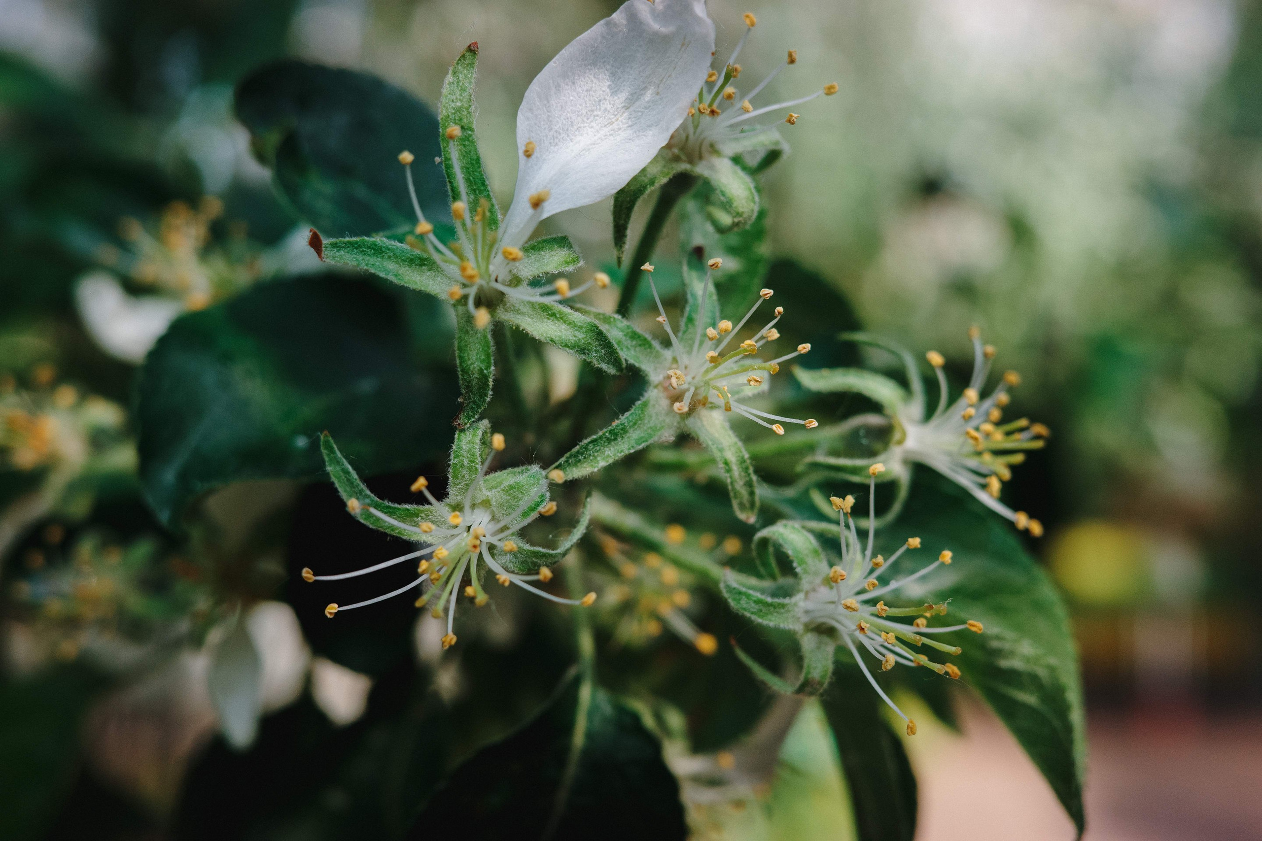 2024.05. Фотограф Алексей Алексеев