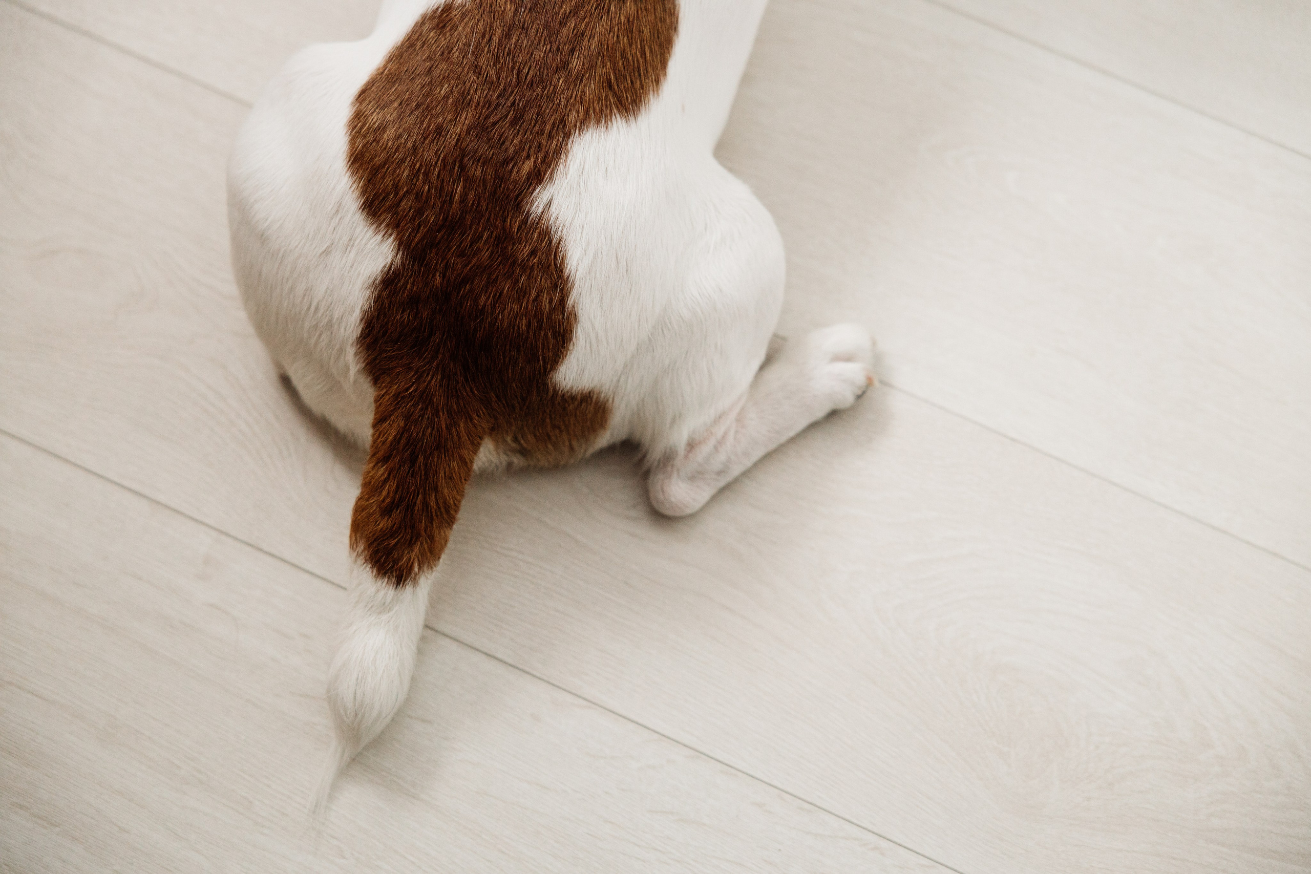 Лена и Саша