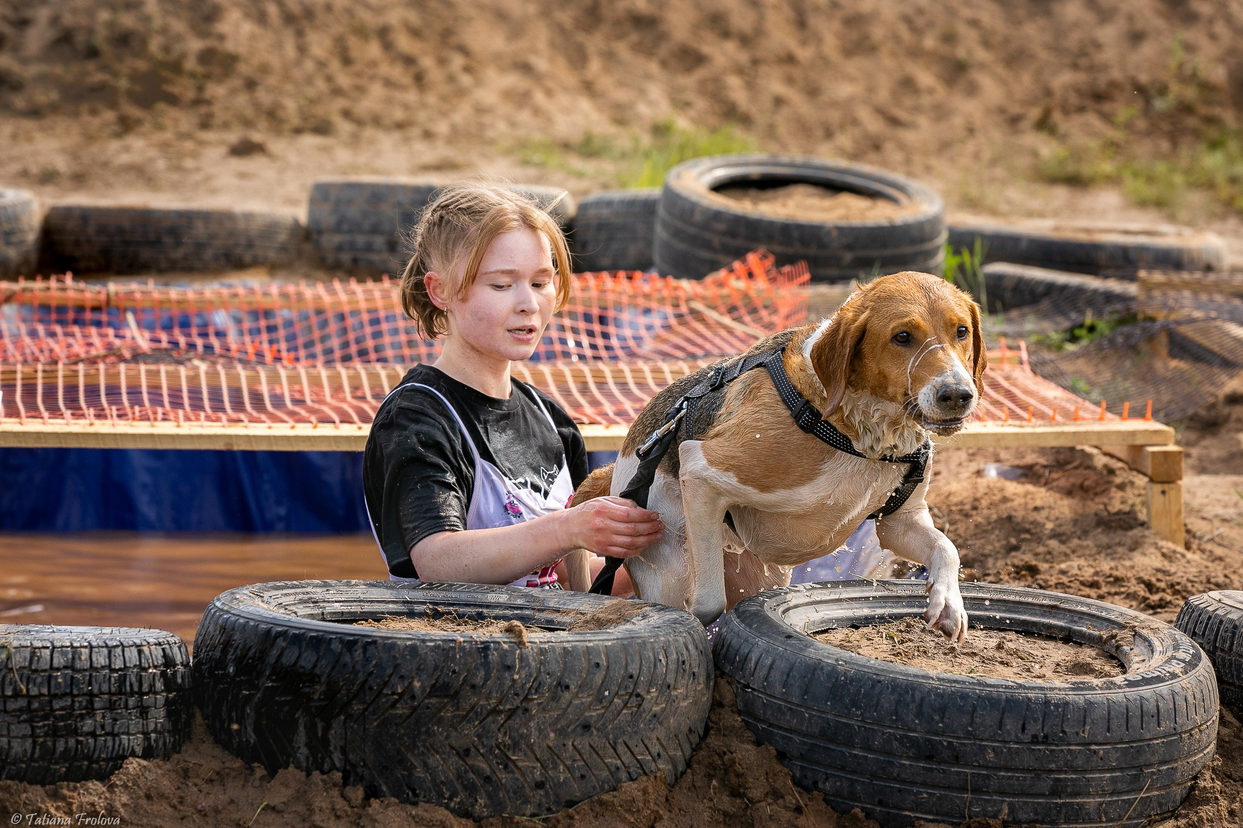 Фоторепортаж с забега с собаками. Фотограф-анималист в Москве и Московской области Татьяна Фролова