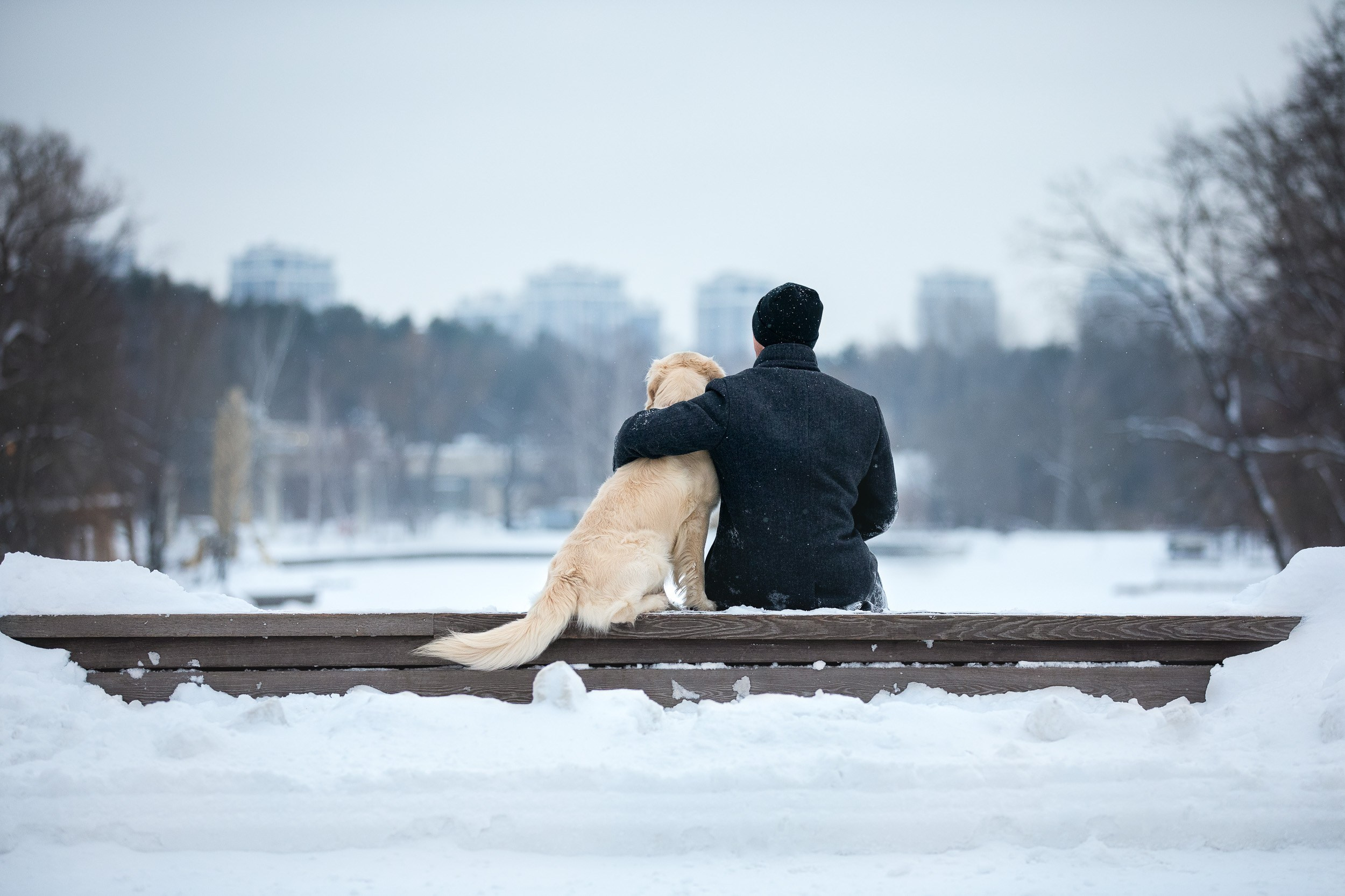 Фотосессия хозяина и ретривера. Фотограф-анималист в Москве и Московской области Татьяна Фролова