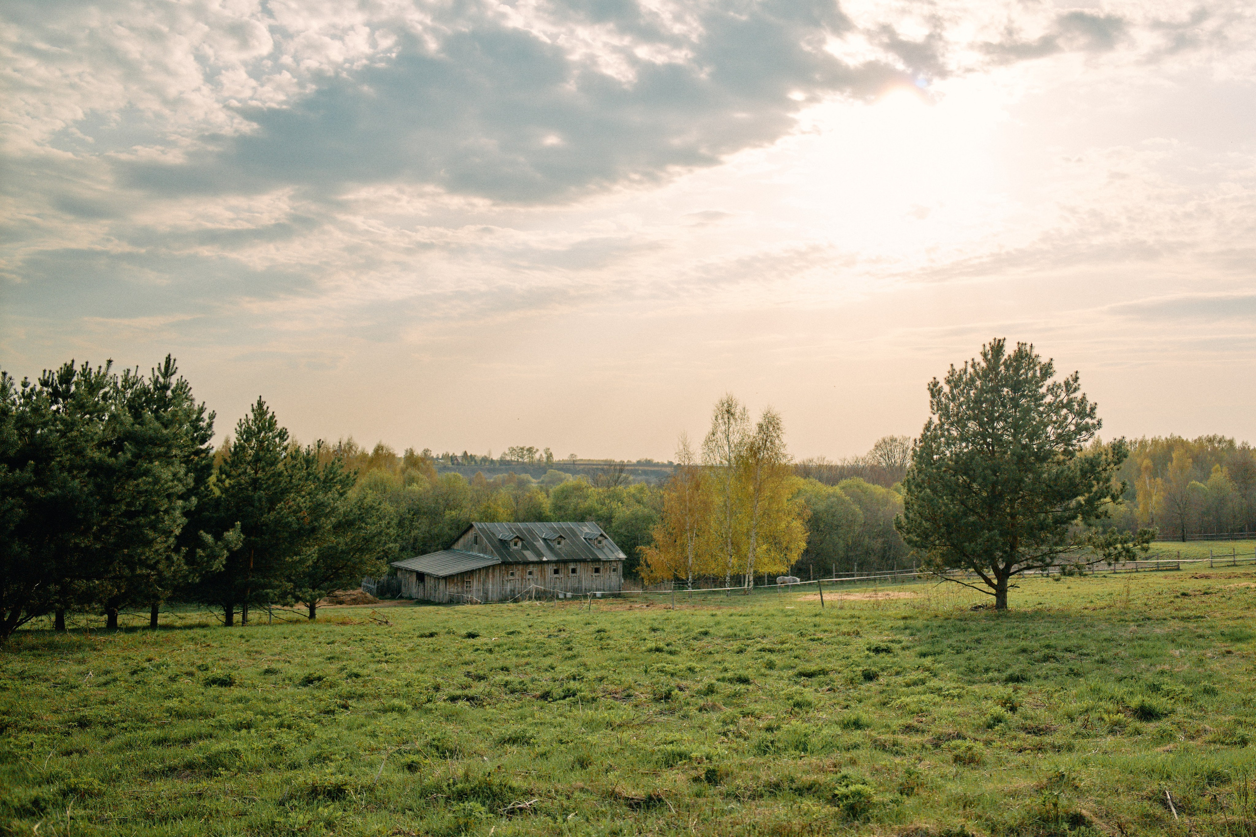Бутик-отель Поле летом. Профессиональный Фотограф во Владимире, в Москве и в Суздале — Полина Романычева