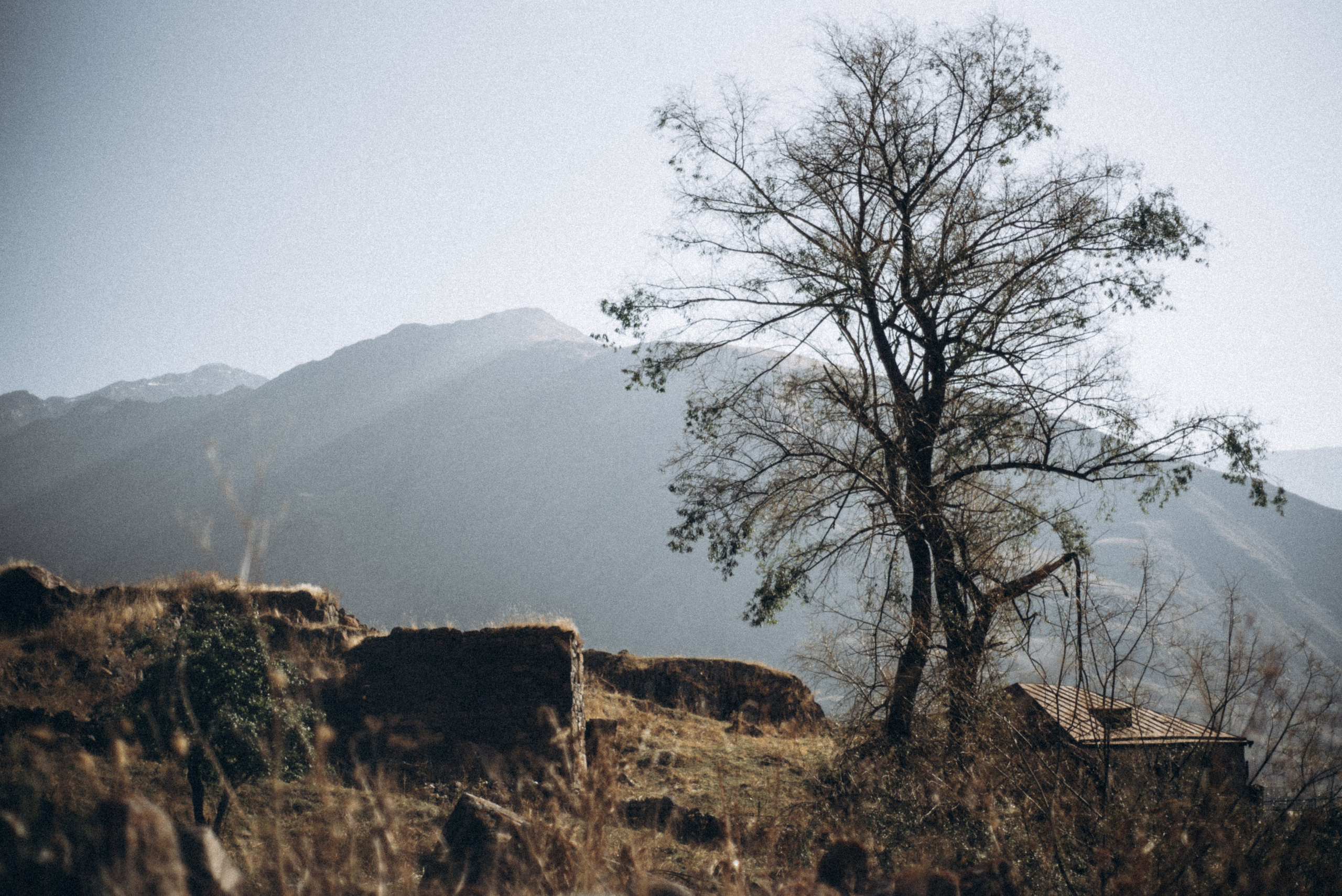 Казбег, Грузия 🇬🇪. Anita_photo