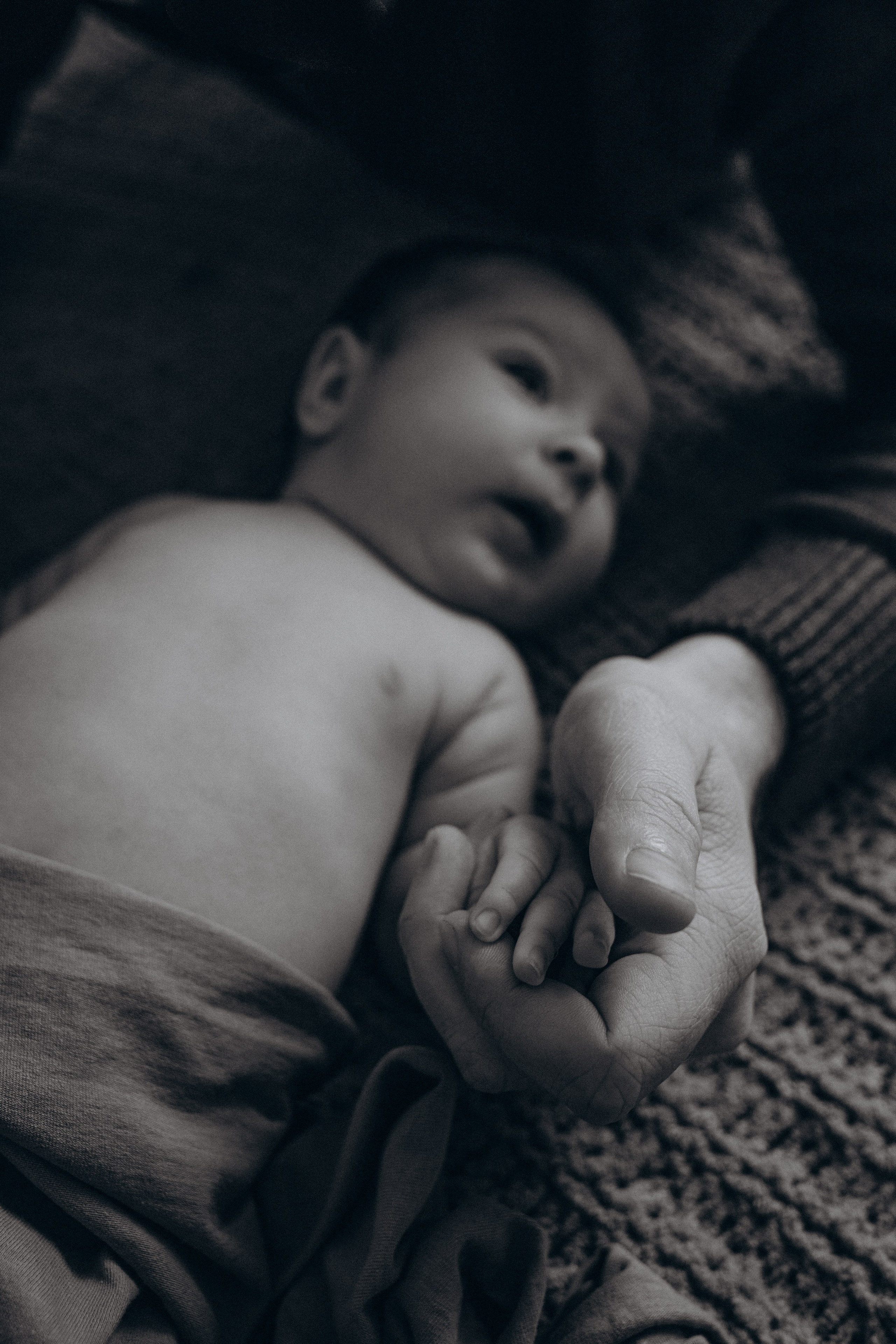 Добро пожаловать в семью. Свадебный фотограф Кропоткин Краснодар