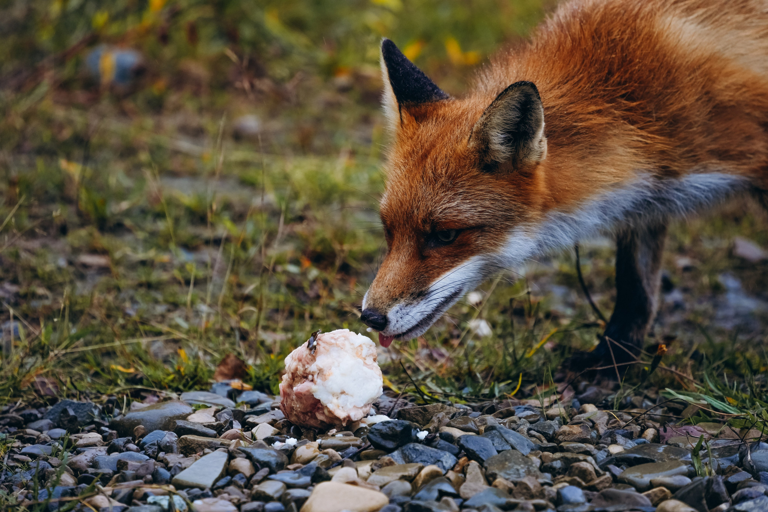 СЕВЕР. Event фотограф Степанова Александра