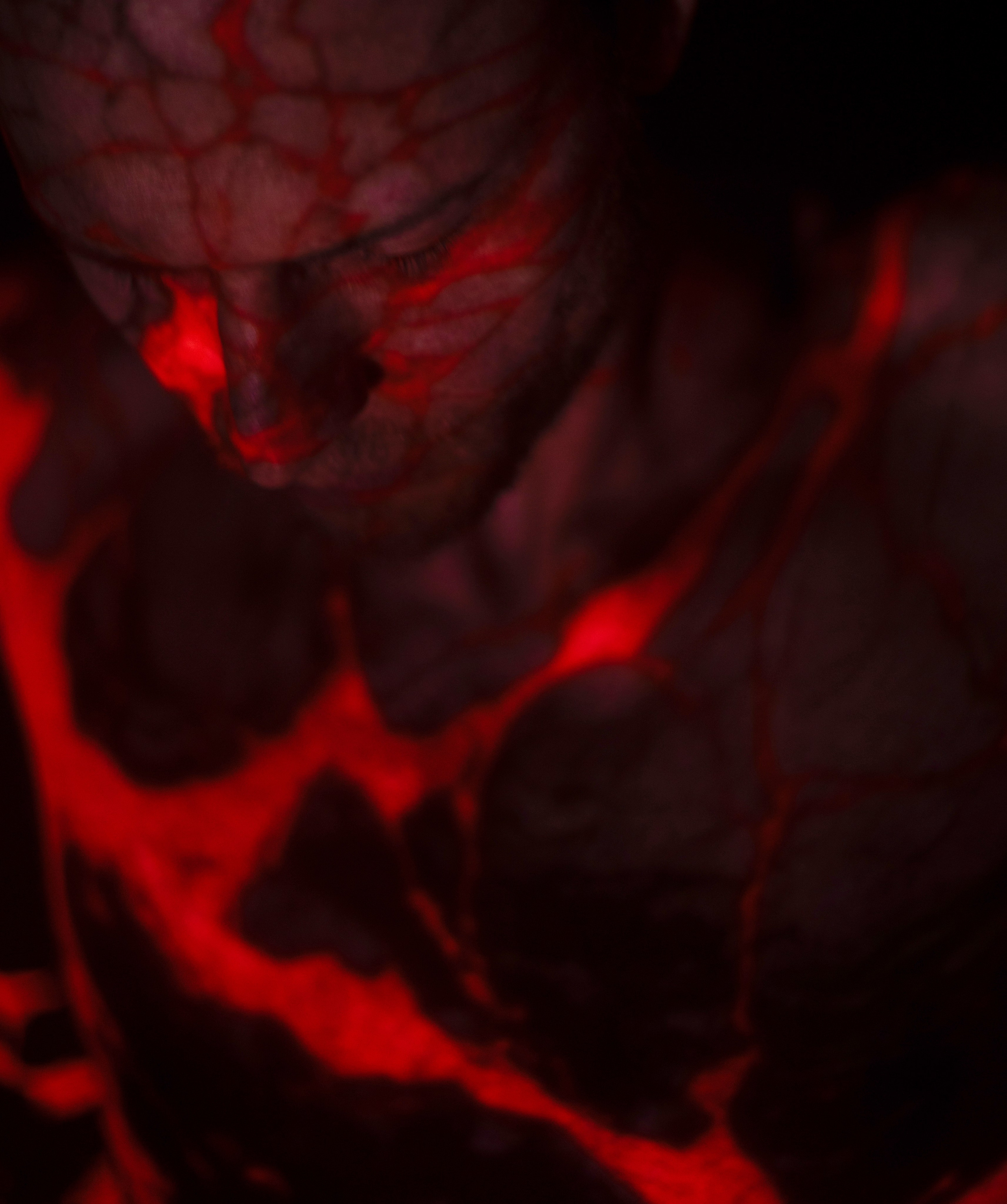 СЕРГЕЙ ИЛЬЧУК. СУЩНОСТНАЯ ФОТОГРАФИЯ