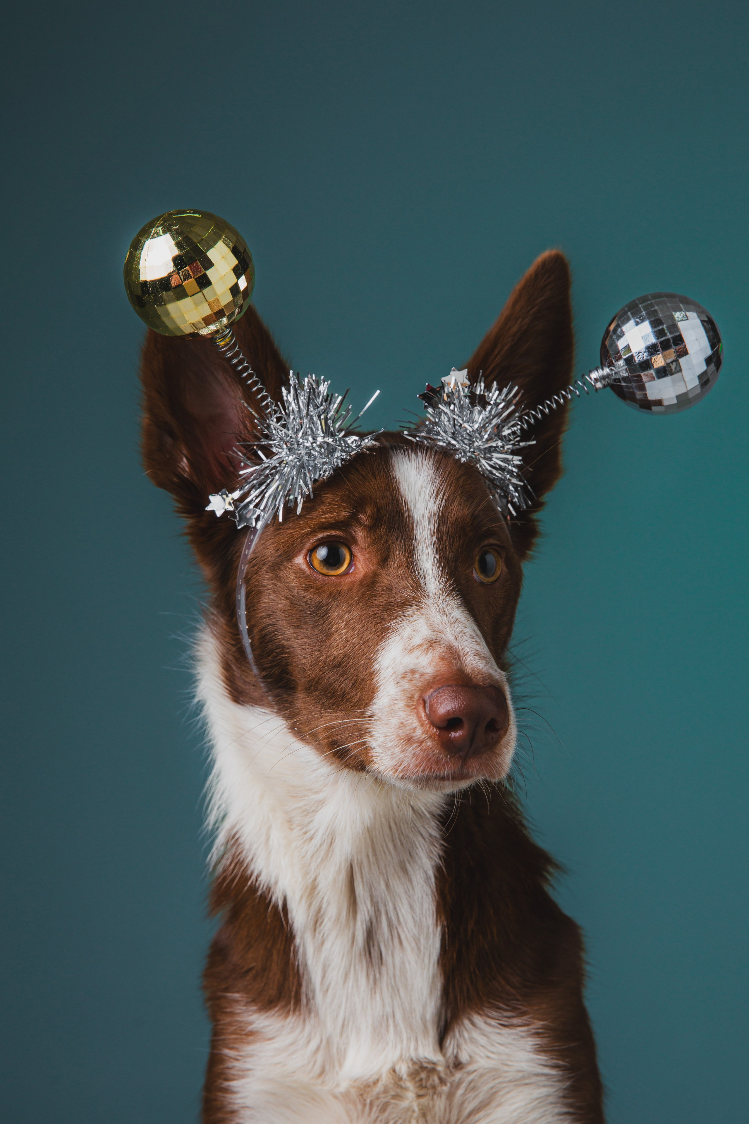 Воркшоп по импульсному свету