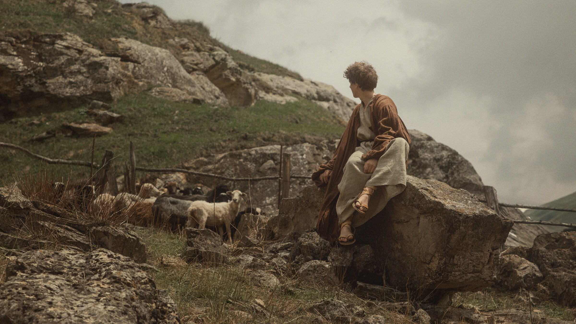 Пастырь добрый. Фотограф и режиссер Сергей Спирин. Москва