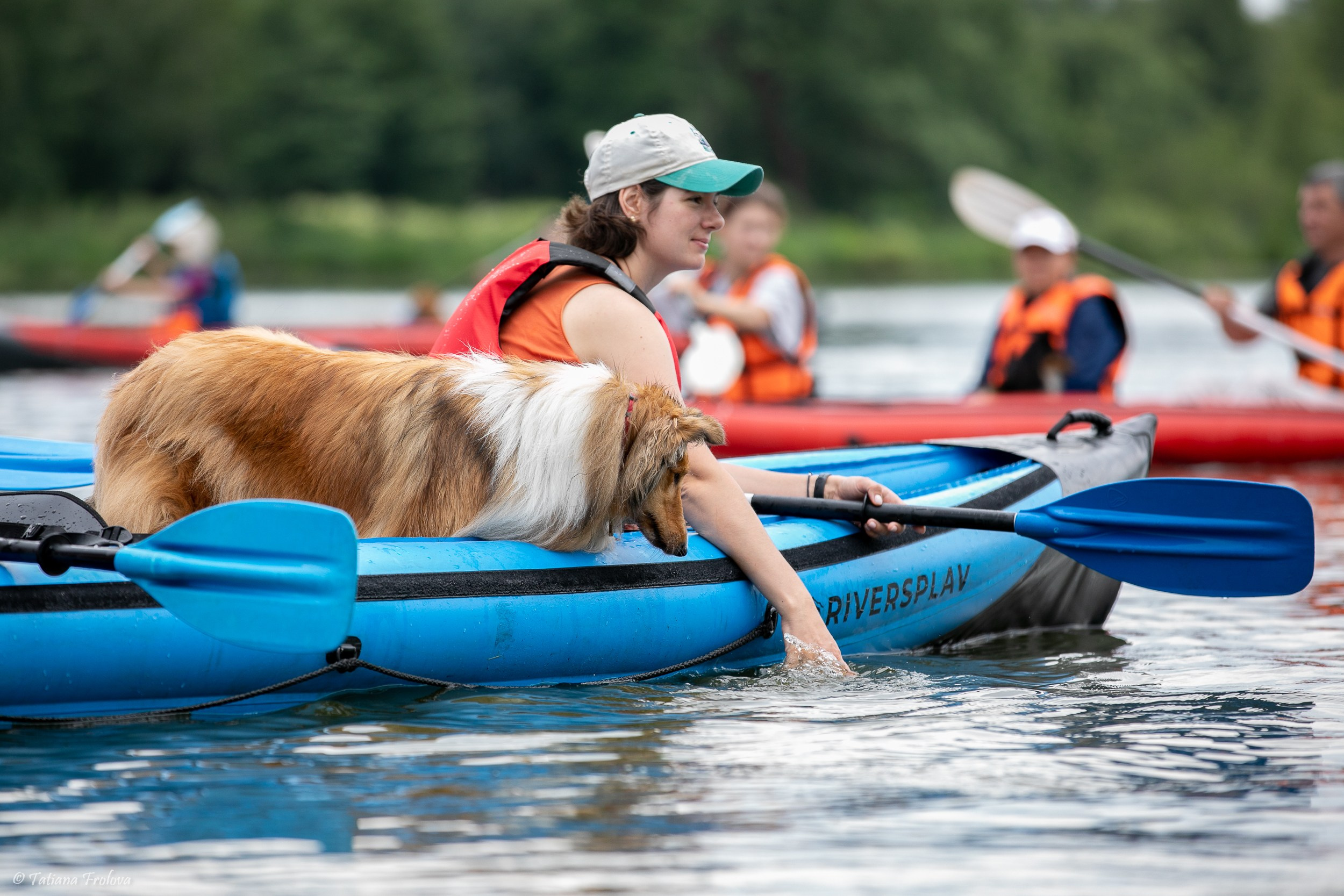 Фотоочет о сплаве на байдарках вместе с собаками. Фотограф-анималист в Москве и Московской области Татьяна Фролова