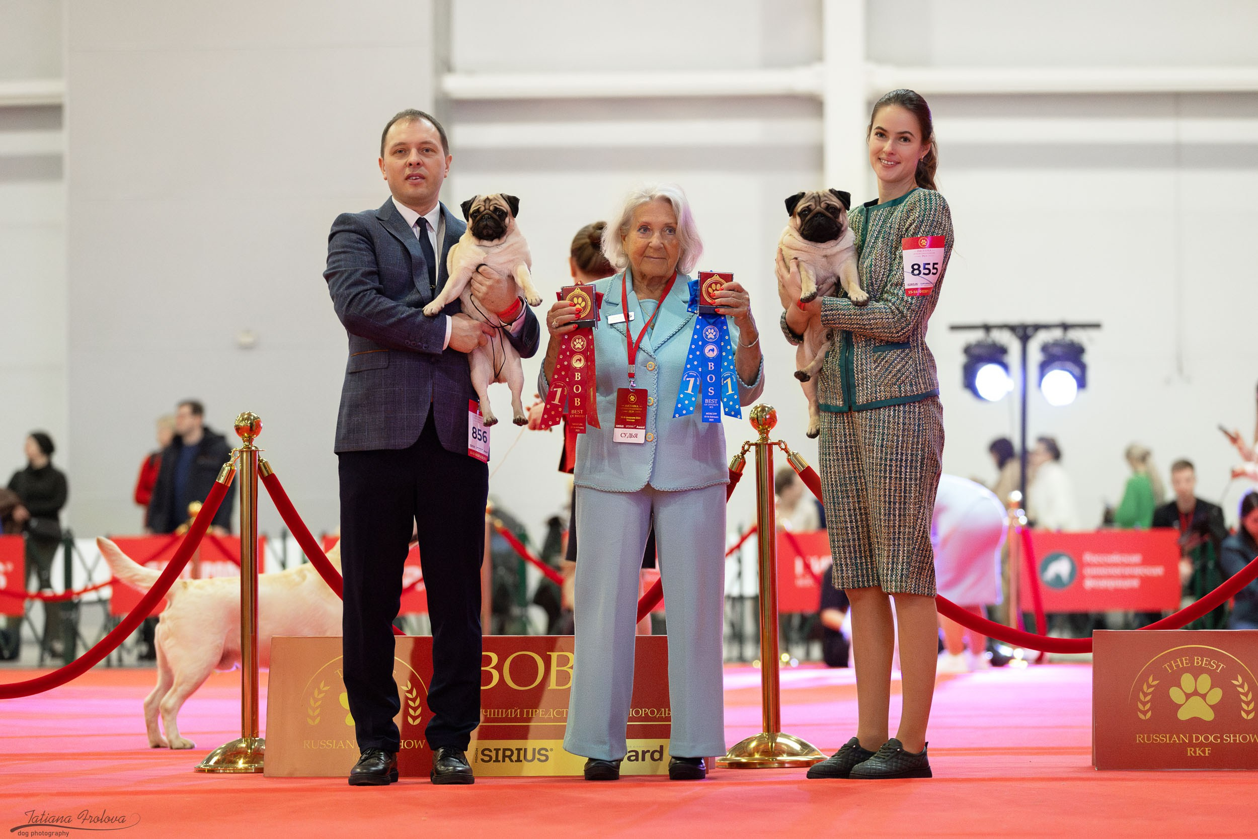 Фото с выставки РКФ. Фотограф-анималист в Москве и Московской области Татьяна Фролова