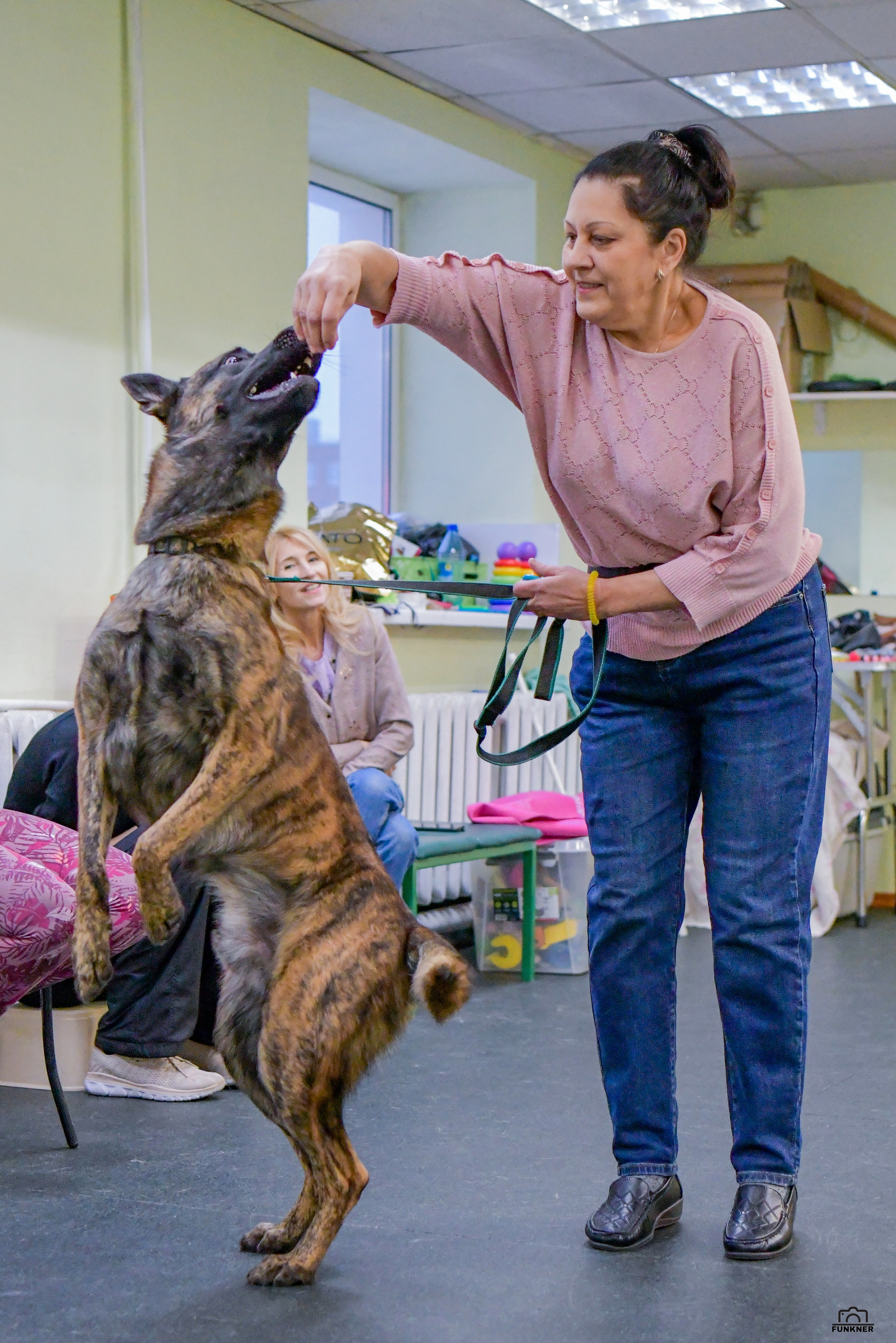 Кинологический клуб «Бодрый хвост». Свой взгляд через объектив