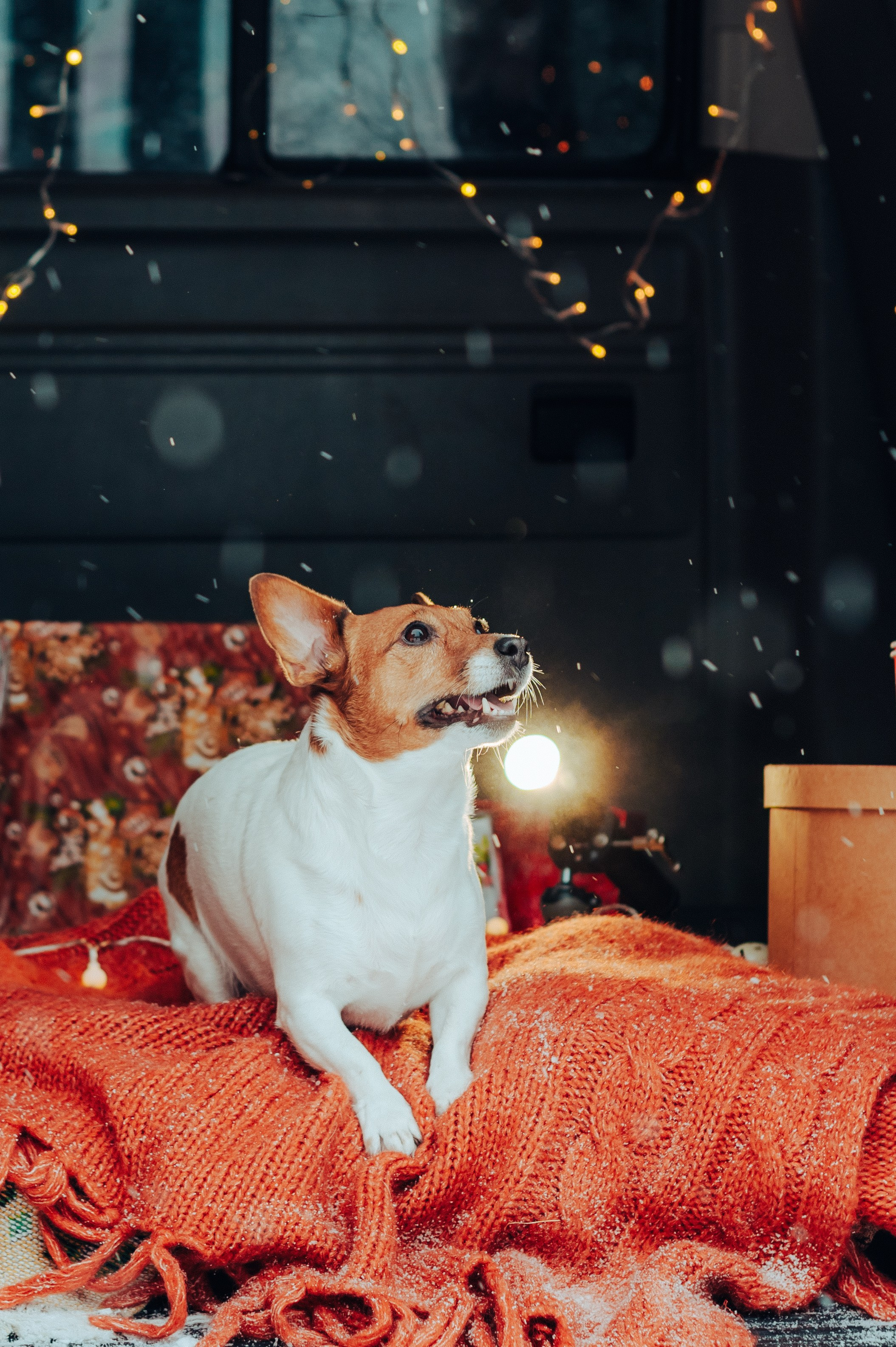 Вика и Денис. Детский и семейный фотограф Катерина Мишина