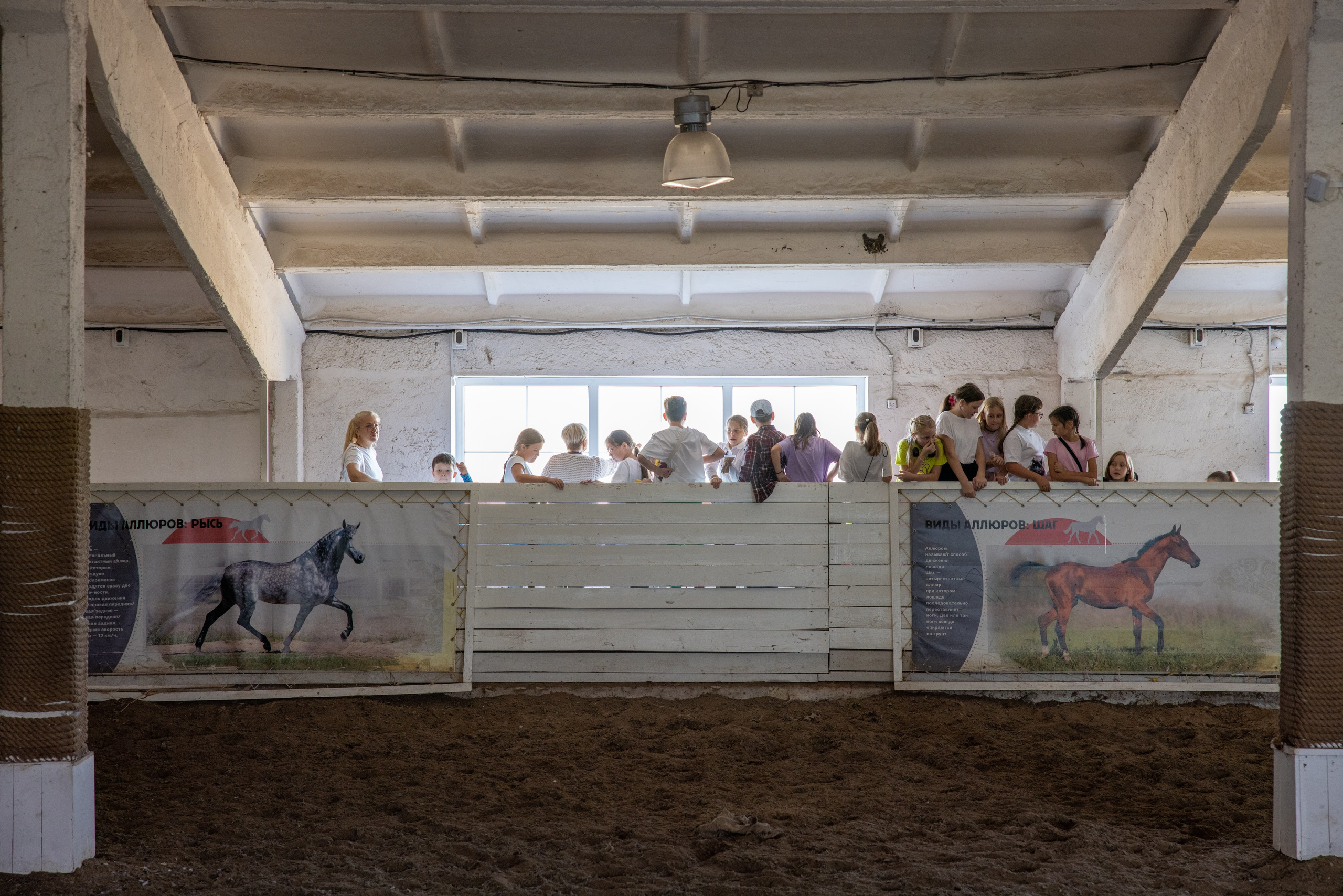 Поездка на поле Кулеково. Фотограф в Туле Крупский АнДРей. Фотостудия «КАДР71» в Туле