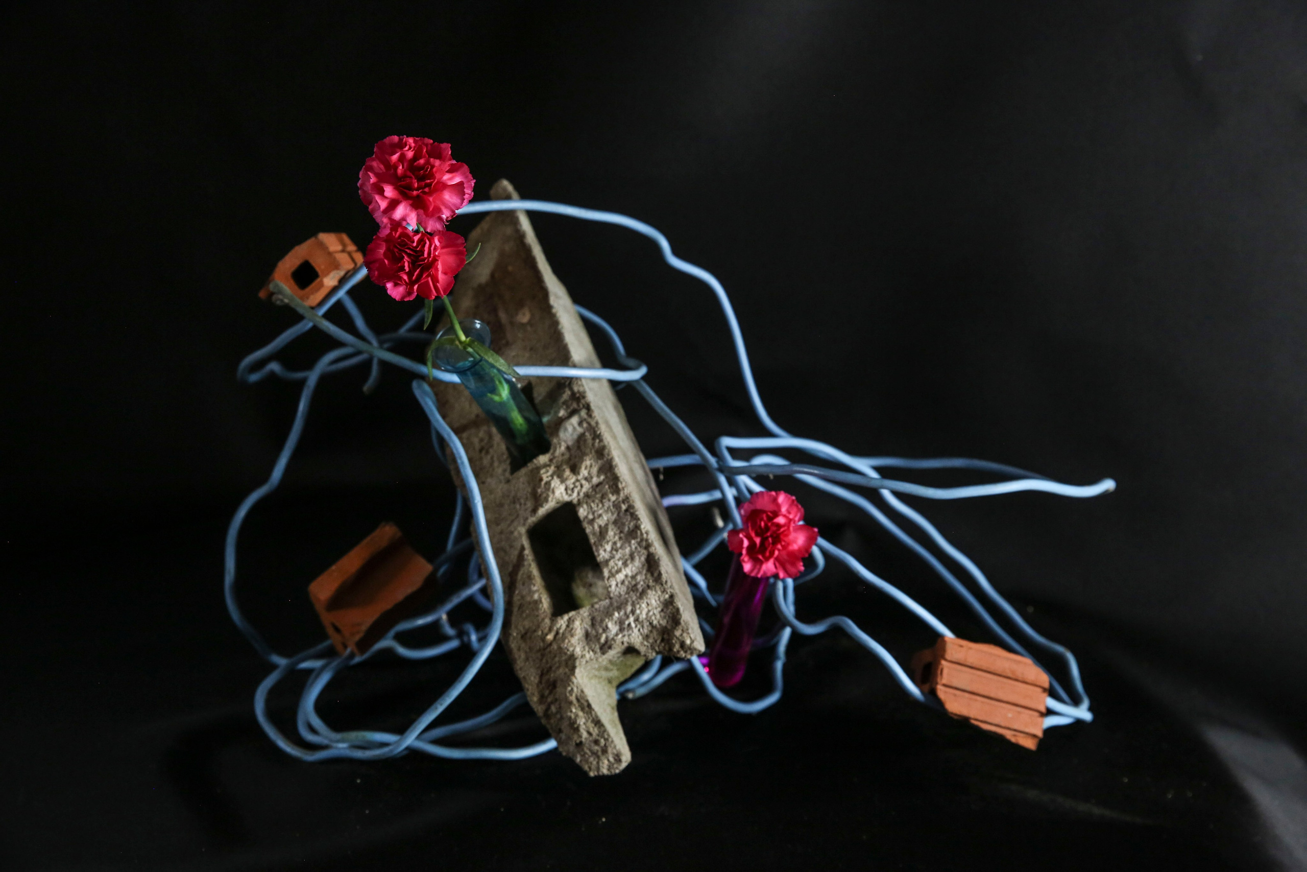 Икэбана Барне. Фотограф Анна Барне