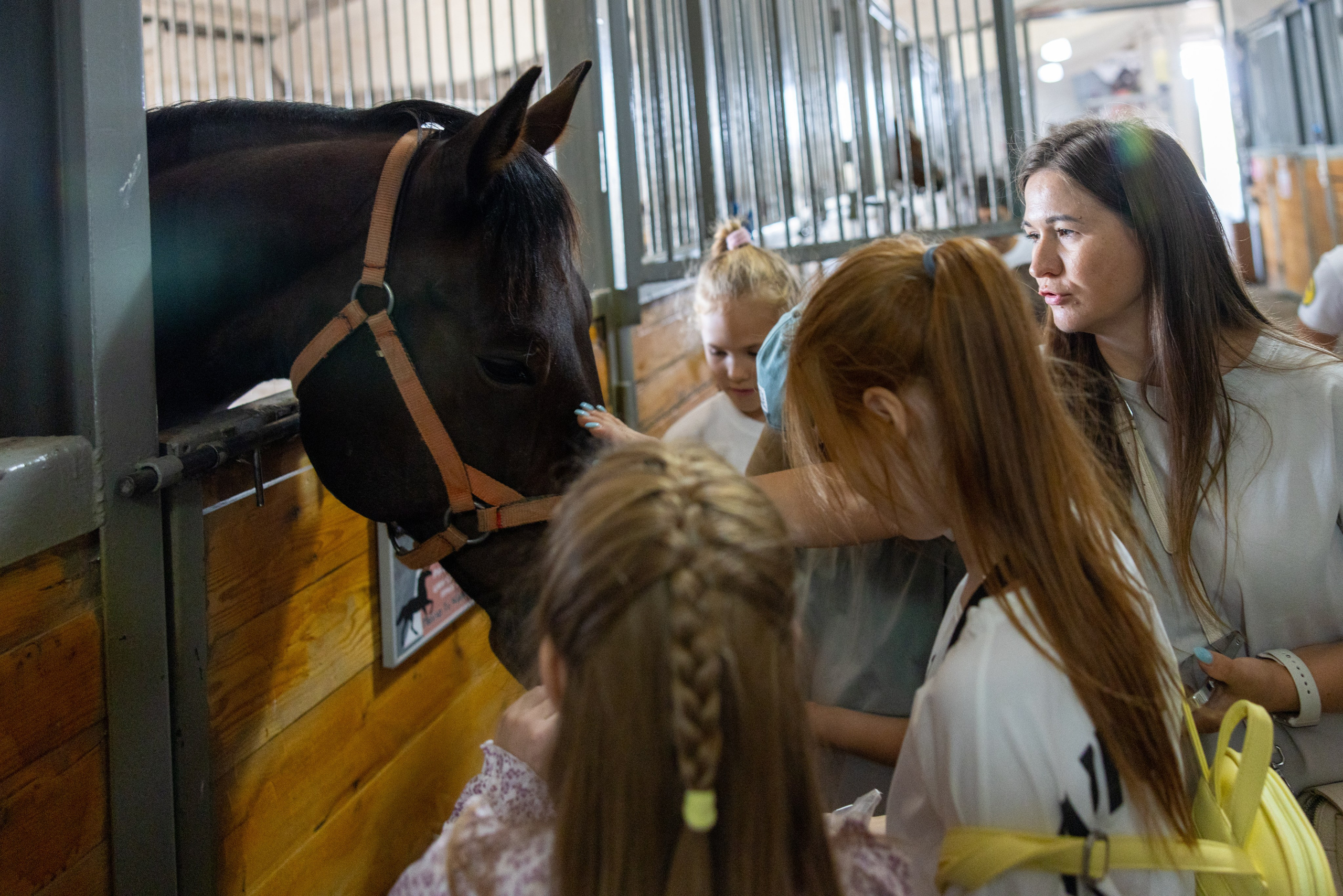 Поездка на поле Кулеково. Фотограф в Туле Крупский АнДРей. Фотостудия «КАДР71» в Туле