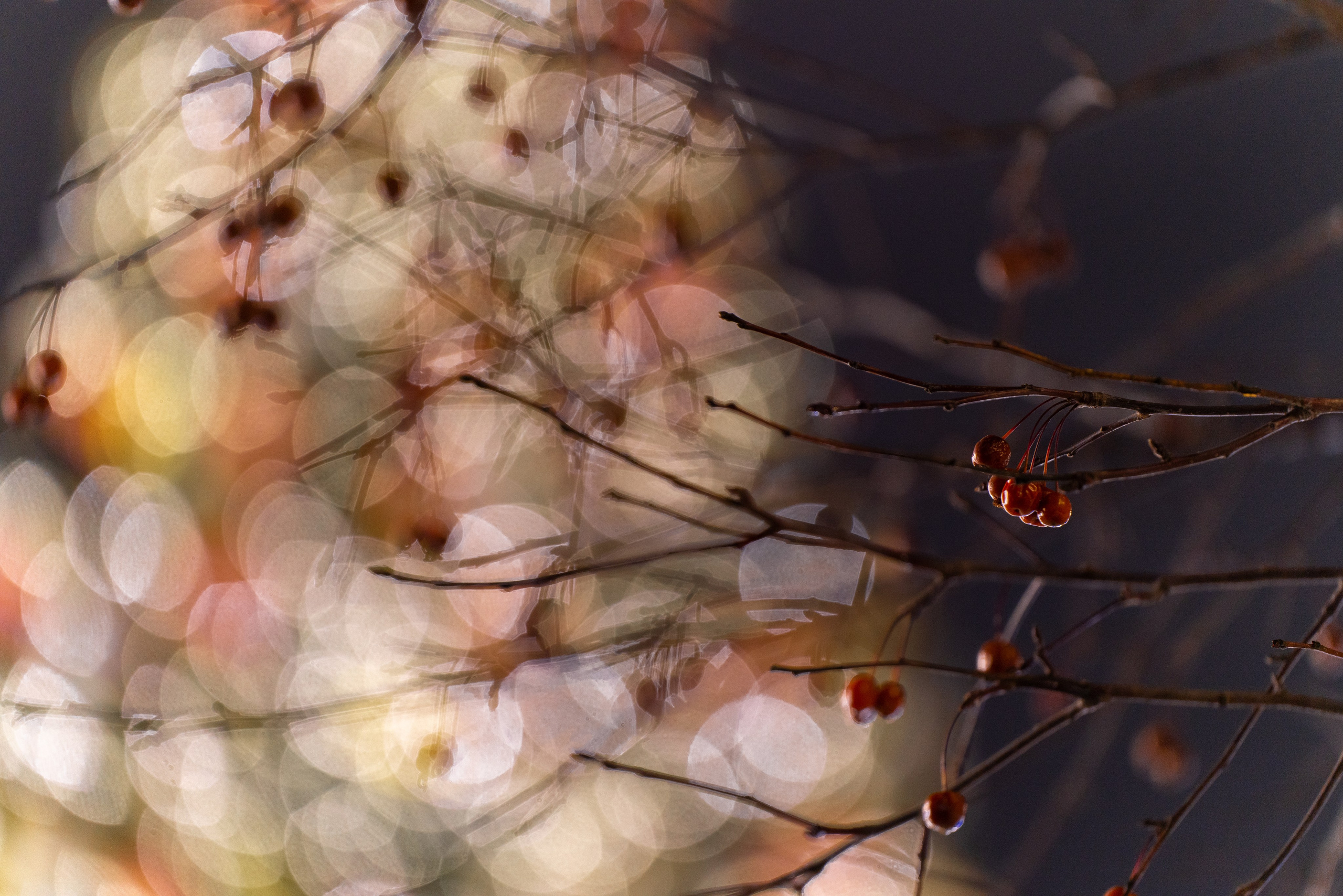 УЛИЦЫ. ПОБУДЬ ЗДЕСЬ И ЦЕЛЕЕ БУДЕТ ЭТОТ МИР