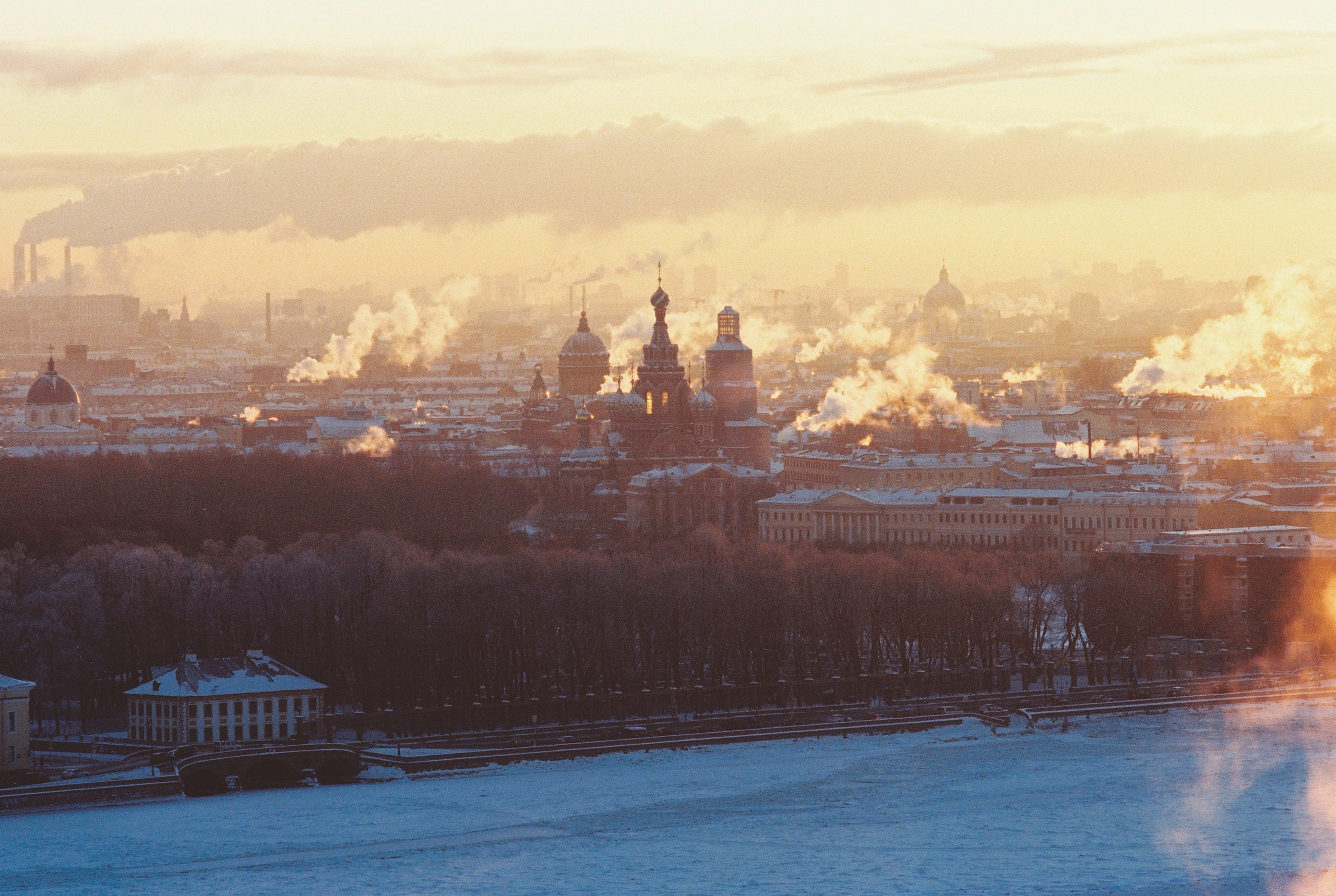 Фотографии цветные. Свадебный и семейный пленочный фотограф в Петербурге Истомина Ирина