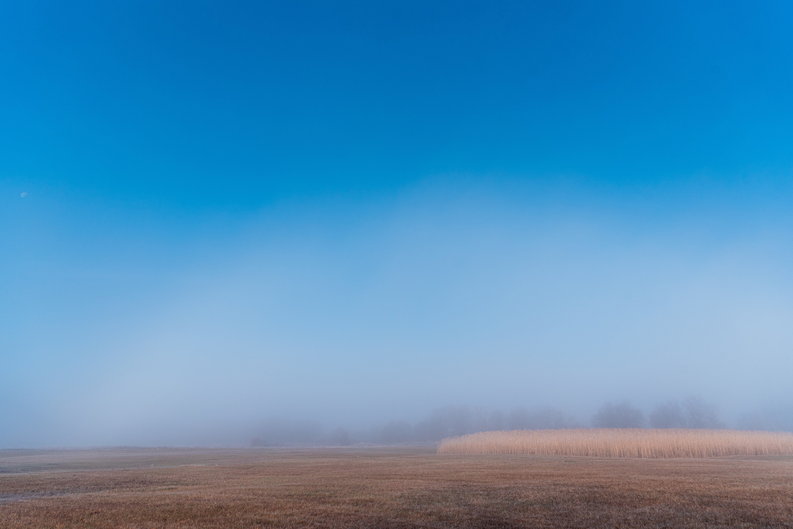 Фотографии утреннего тумана под Волжским. Фотограф в Волгограде и Волжском Александр Горбань