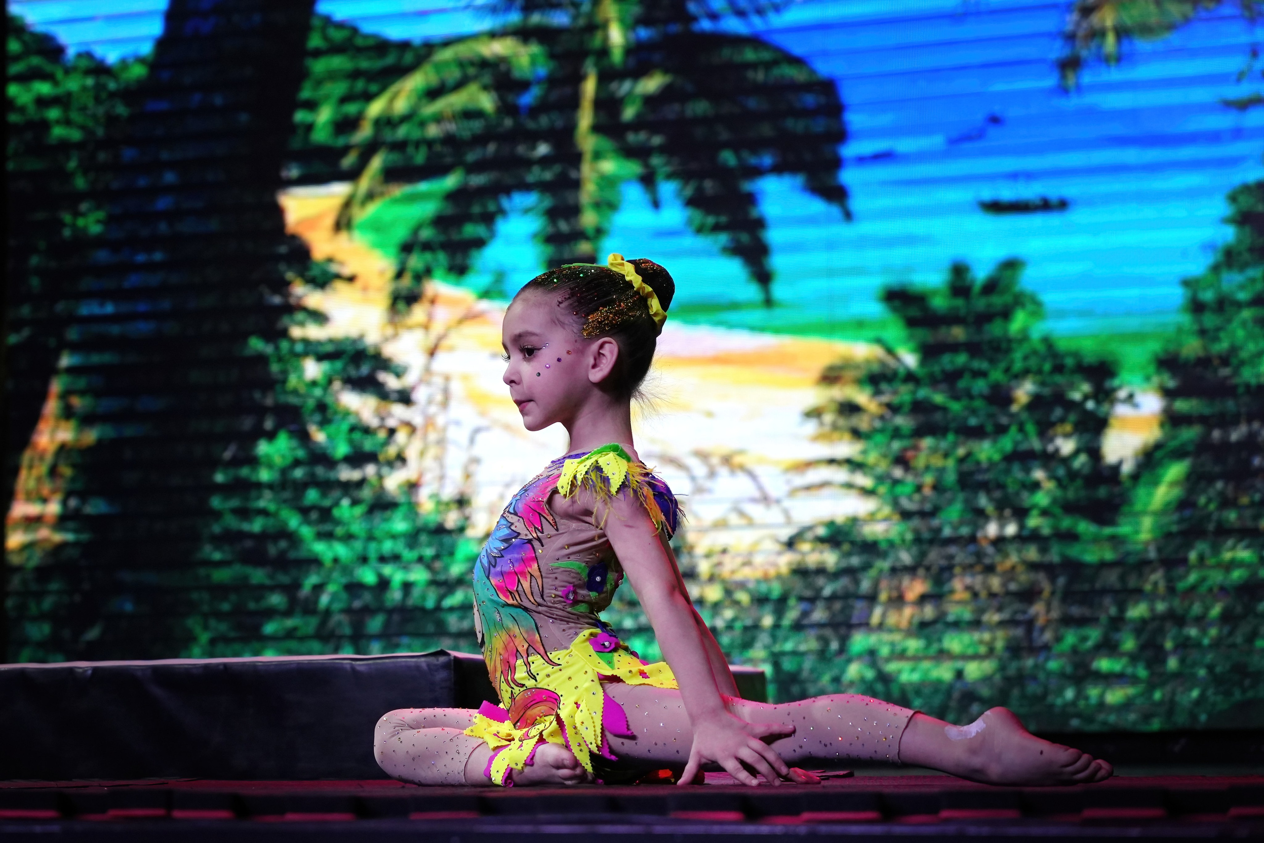 Fenix Fest Фестиваль по воздушной гимнастике. Вадим Шейдин