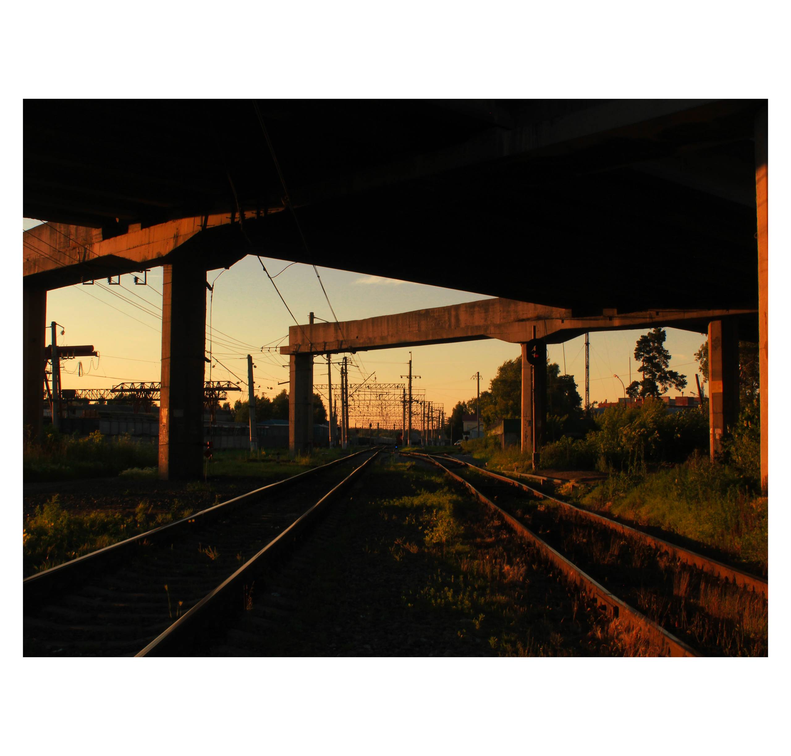 Summertime. Фотограф/дизайнер в Екатеринбурге Хитрый Дмитрий