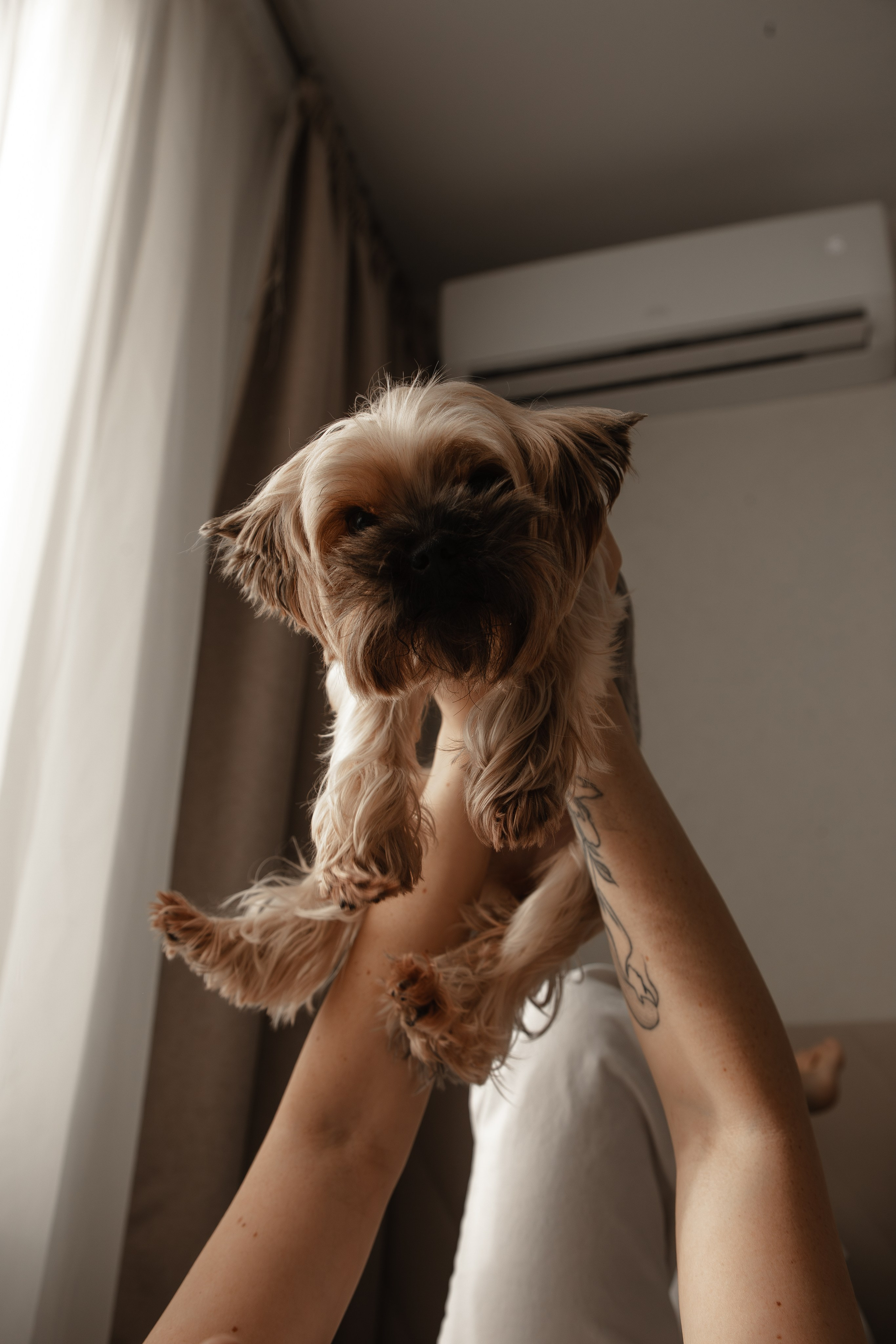 Family. Ваш личный фотограф в Крыму Анна Лисицына