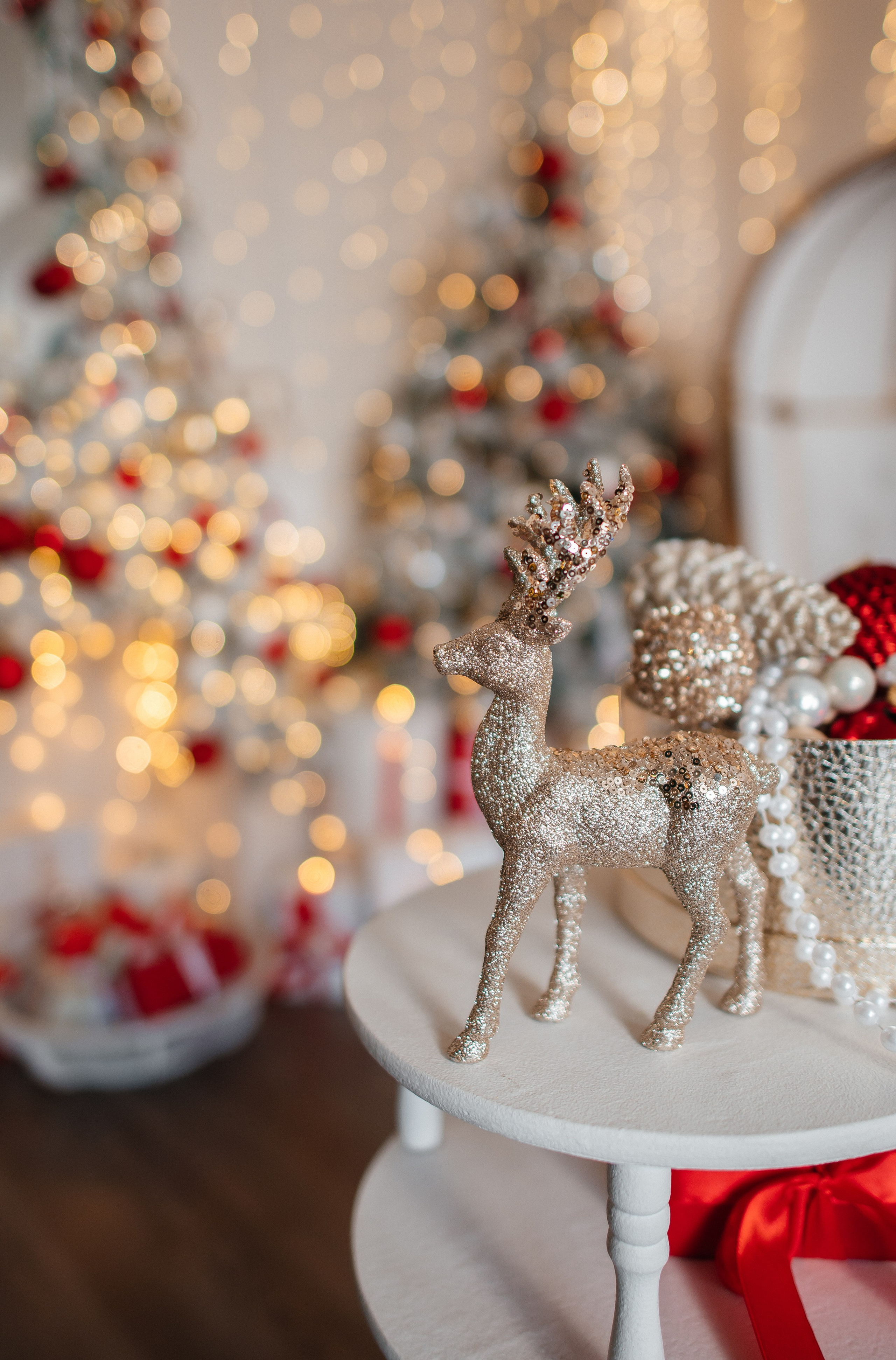 Look. Свадебный фотограф в новокузнецке