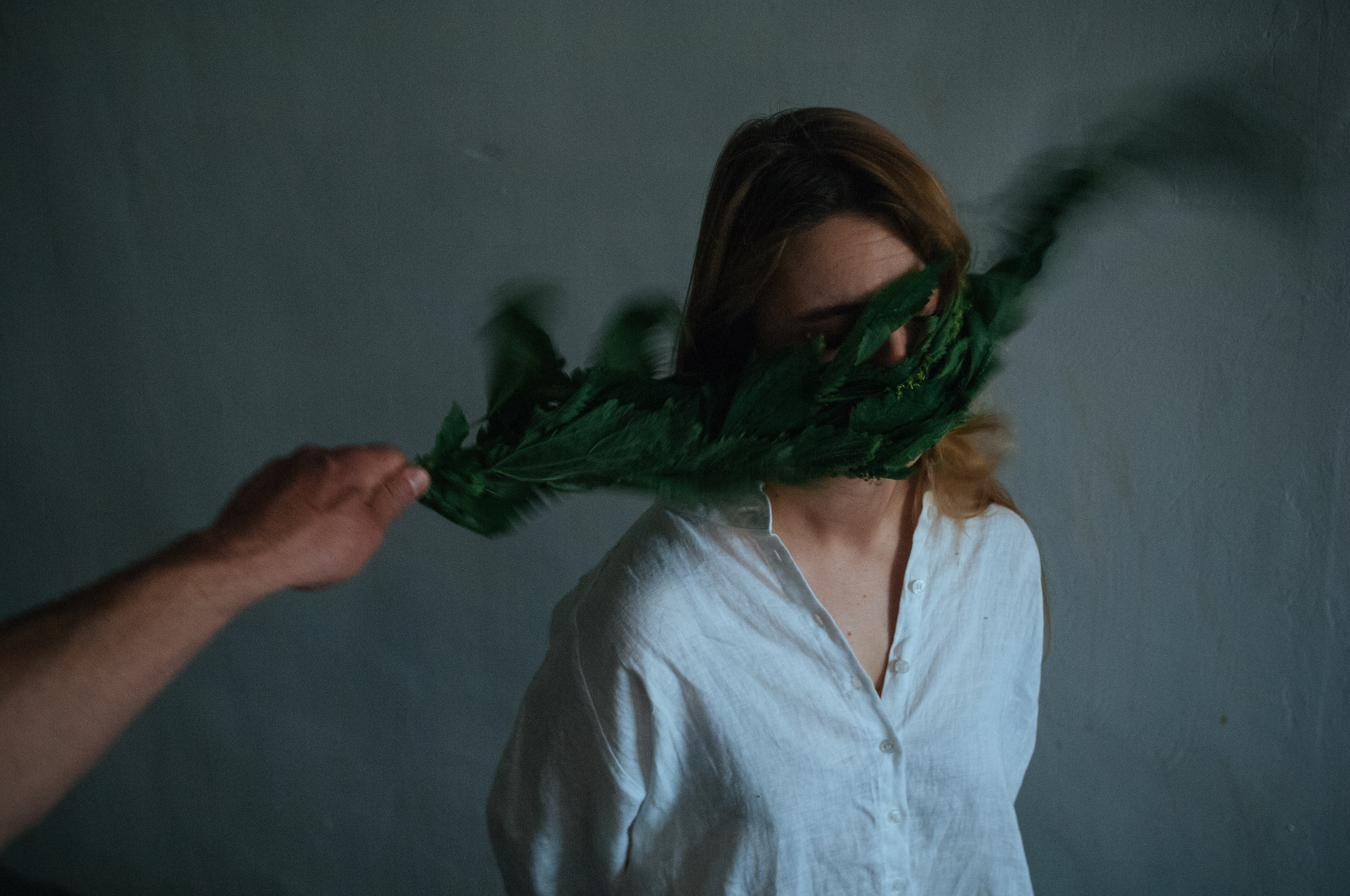 КРАПИВА. Художественная группа «Нежные Бабы»