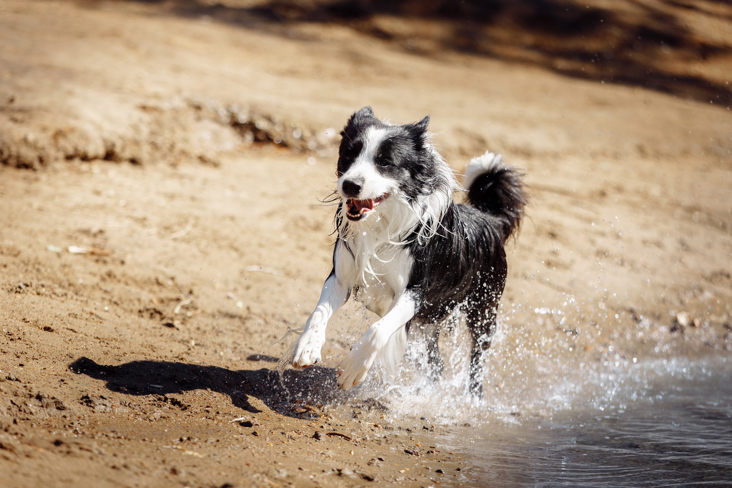 Водяные в Новотроицке. О нас