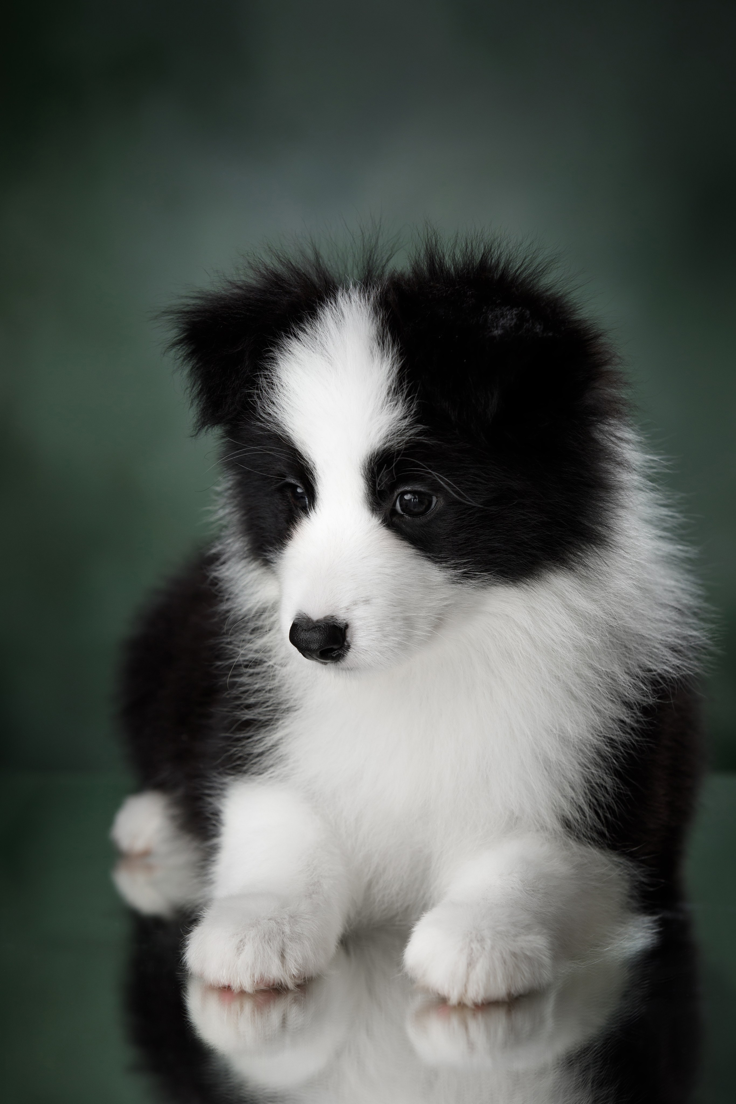 Март. Весна. 22. О нас