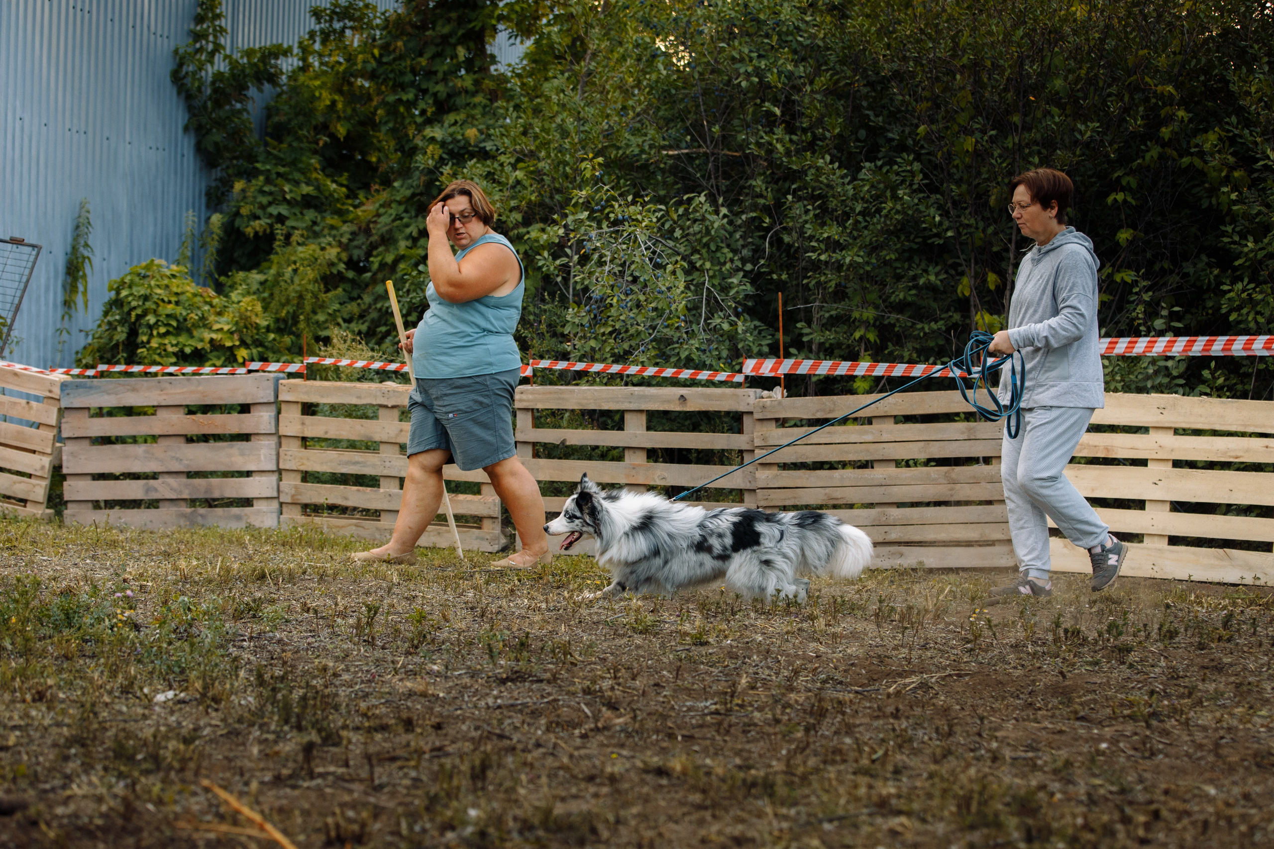 Овечий день. О нас