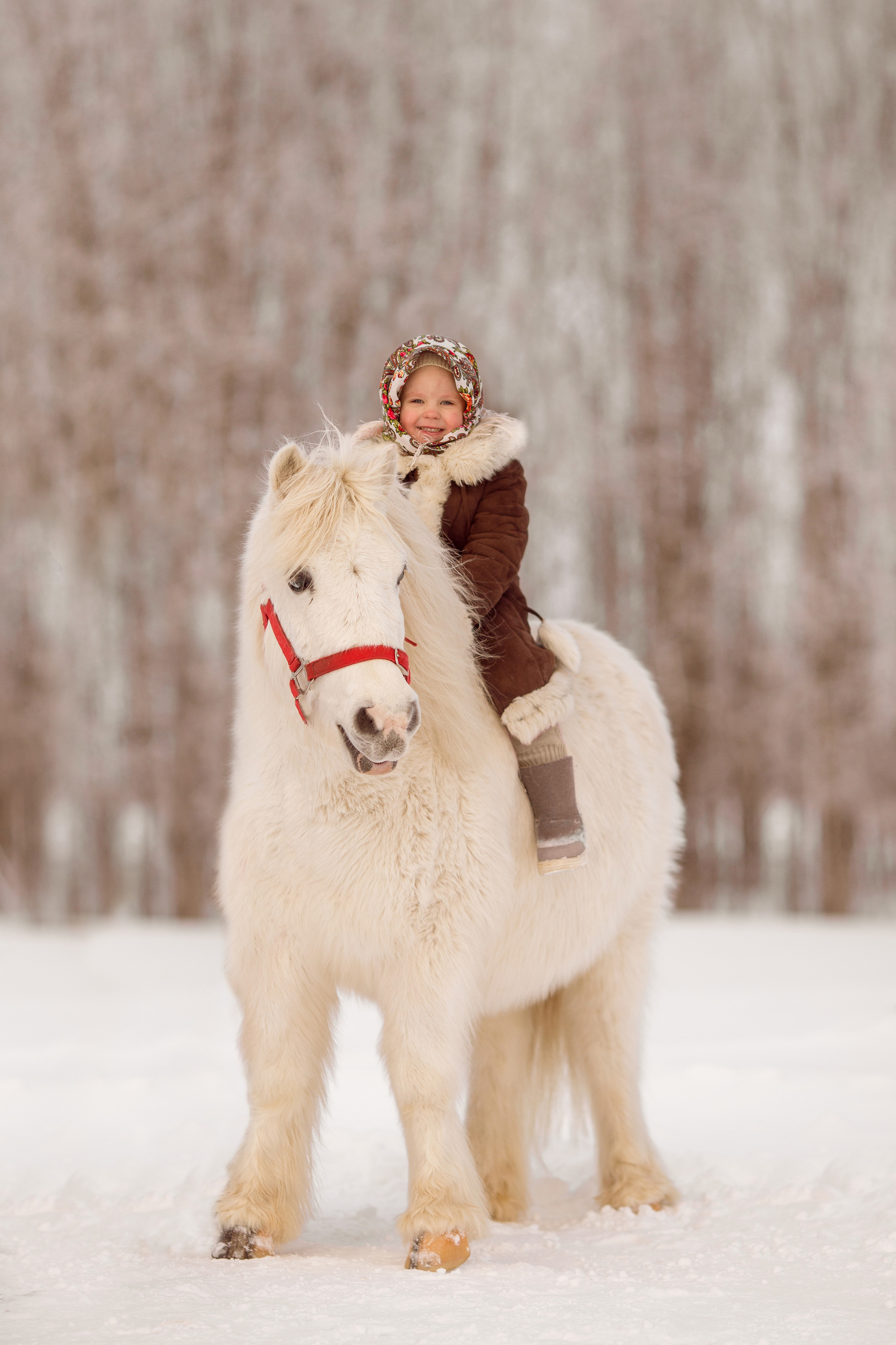 Фото ребенка с пони зимой