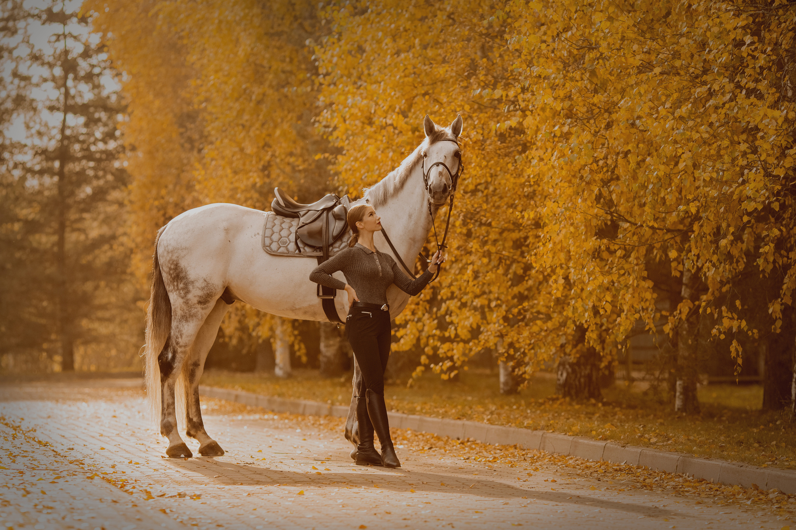 Фото девушки с двумя лошадьми