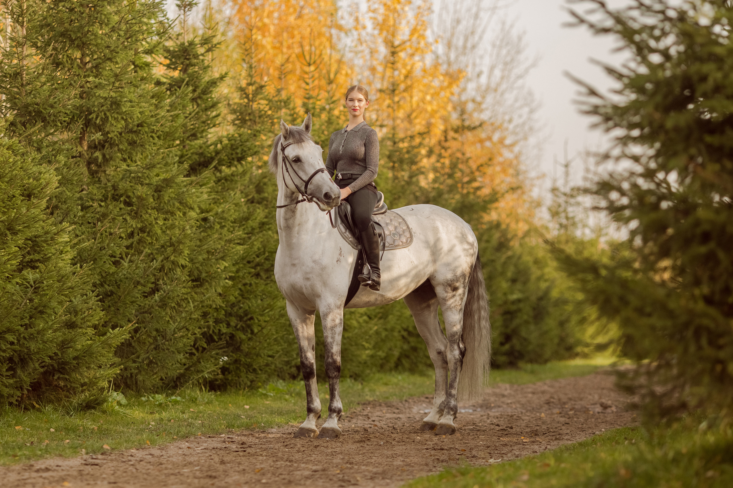 Фото девушки с двумя лошадьми