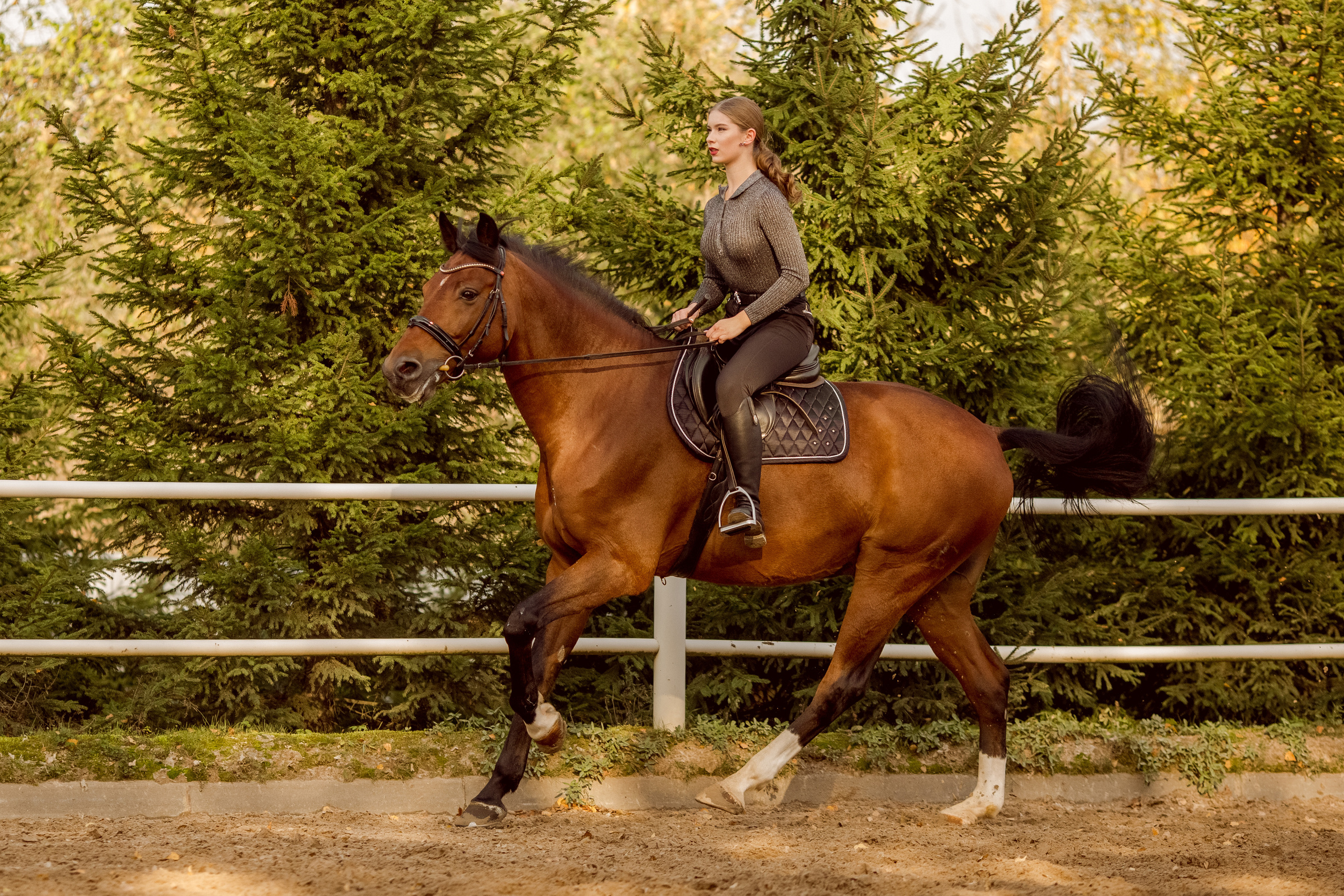 Фото девушки с двумя лошадьми