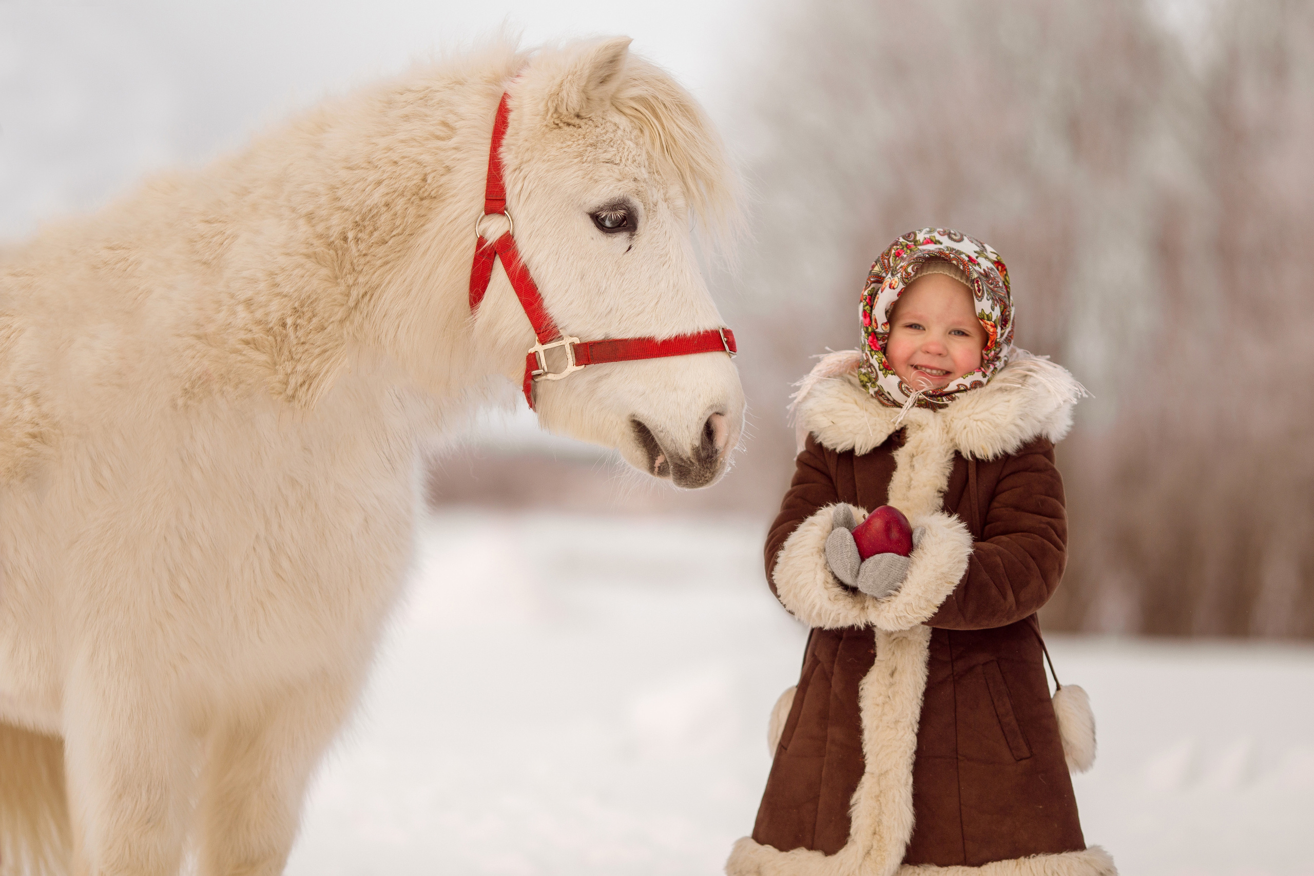 Фото ребенка с пони зимой