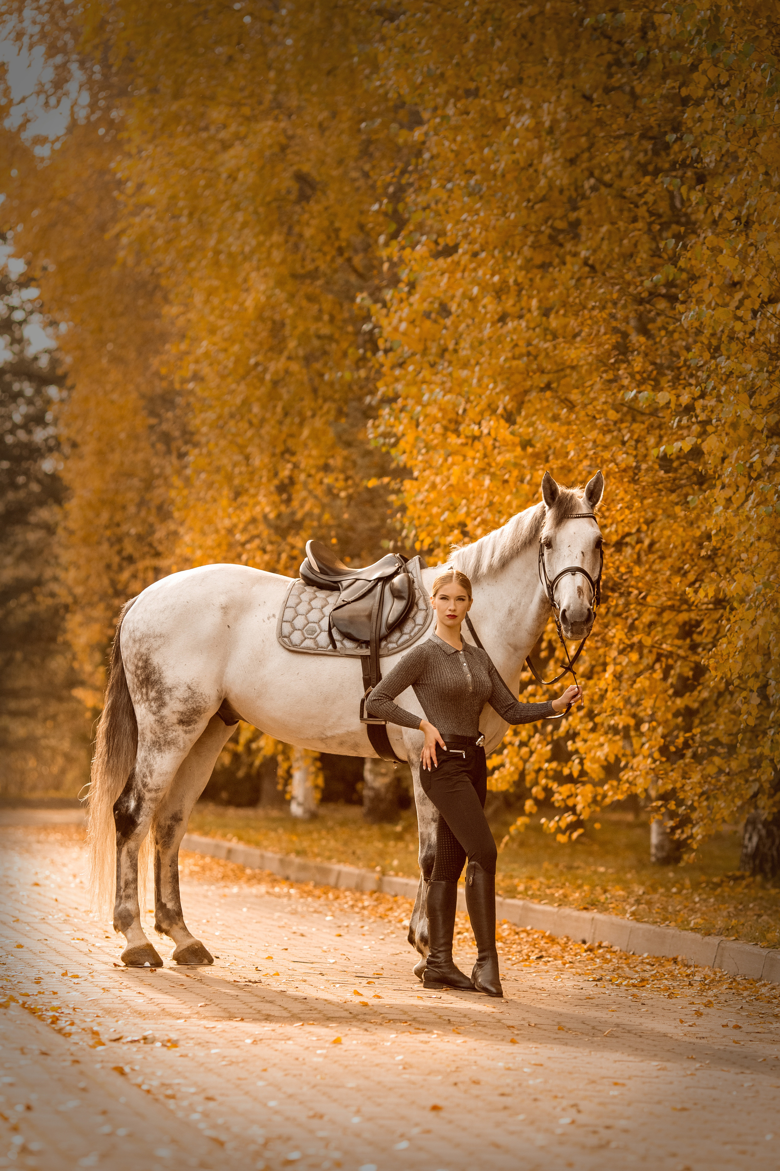 Фото девушки с двумя лошадьми