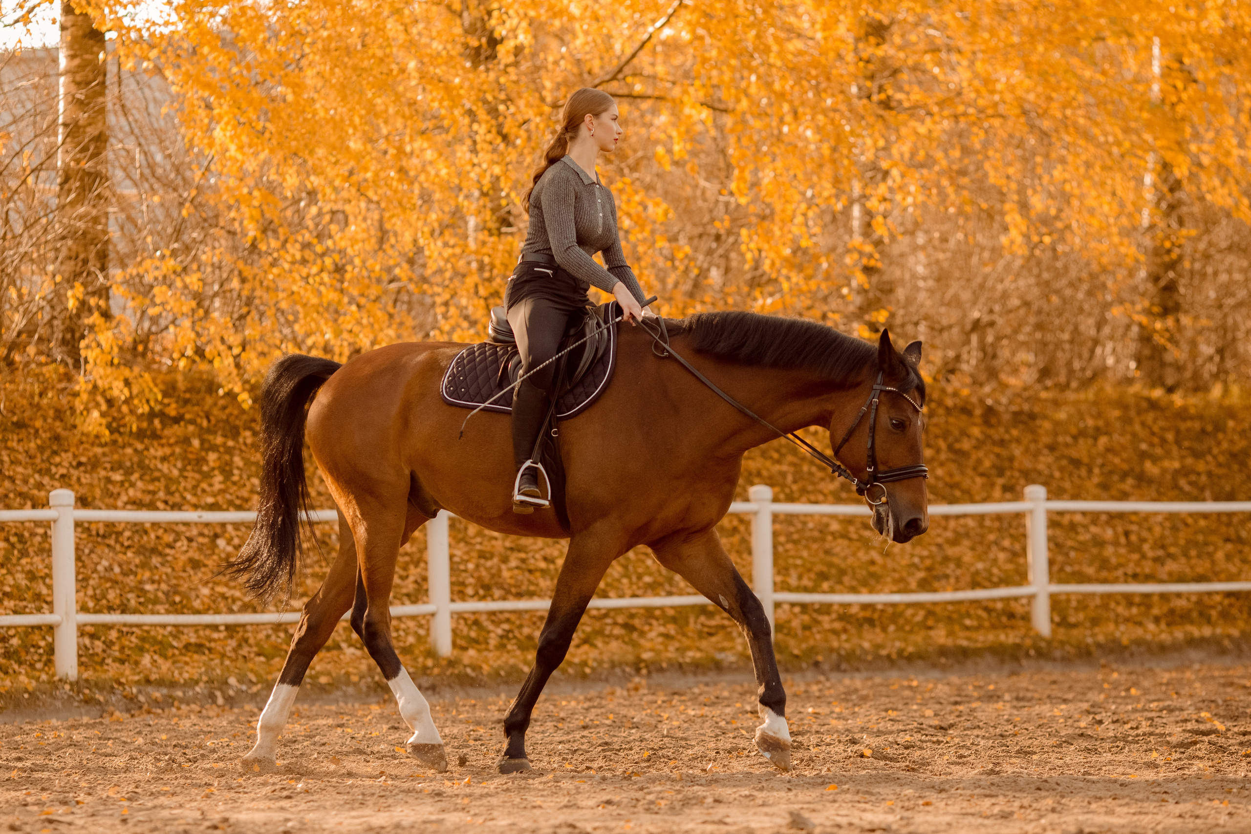 Фото девушки с двумя лошадьми