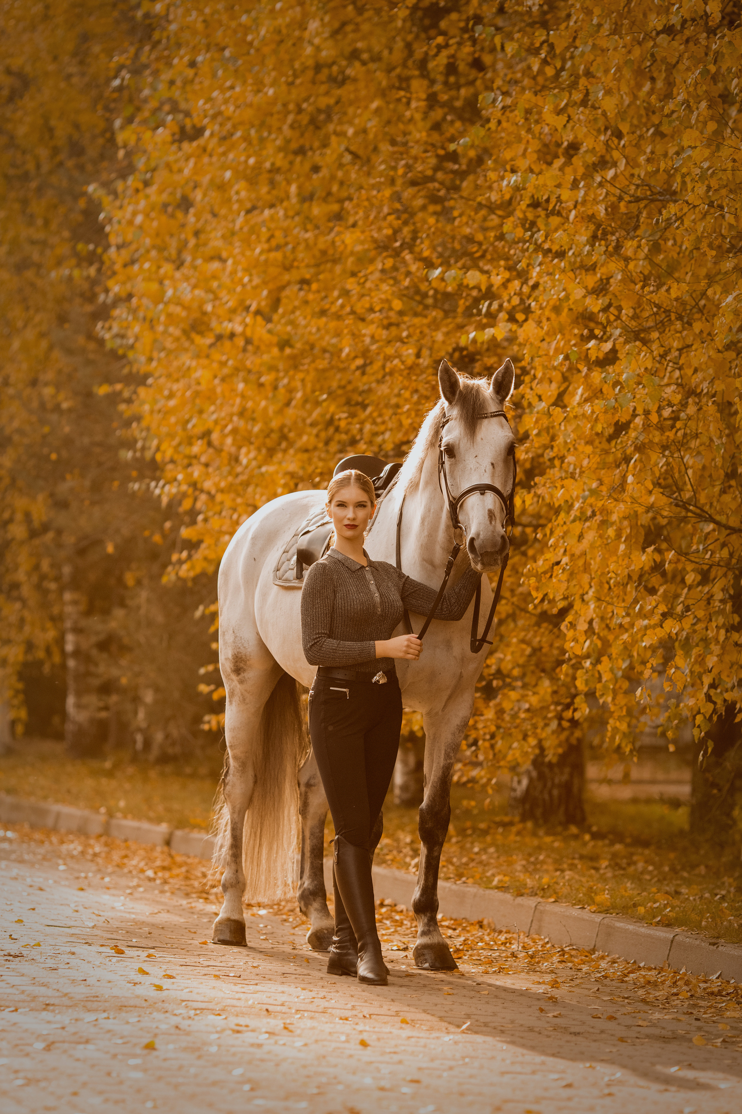 Фото девушки с двумя лошадьми