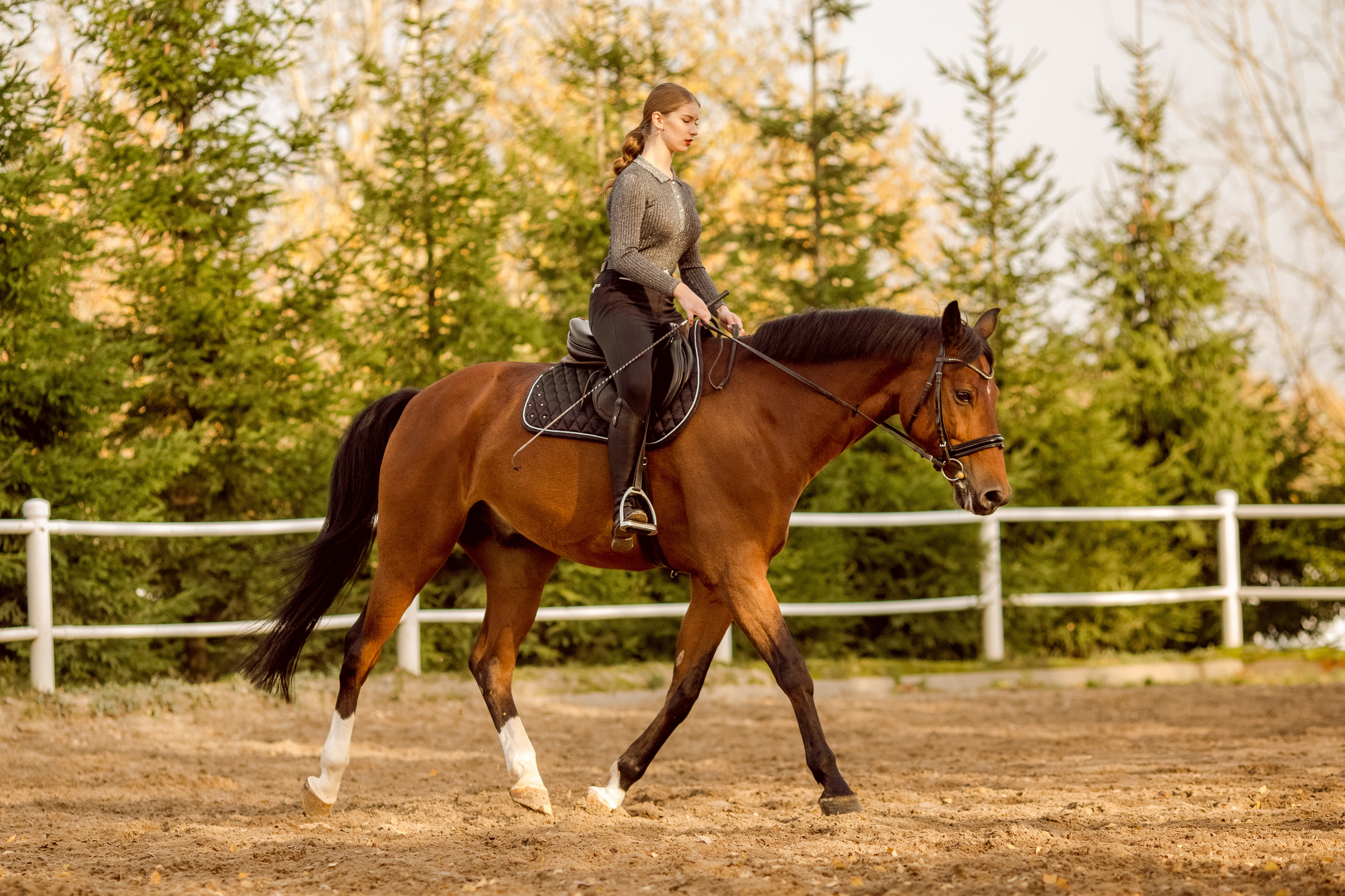Фото девушки с двумя лошадьми