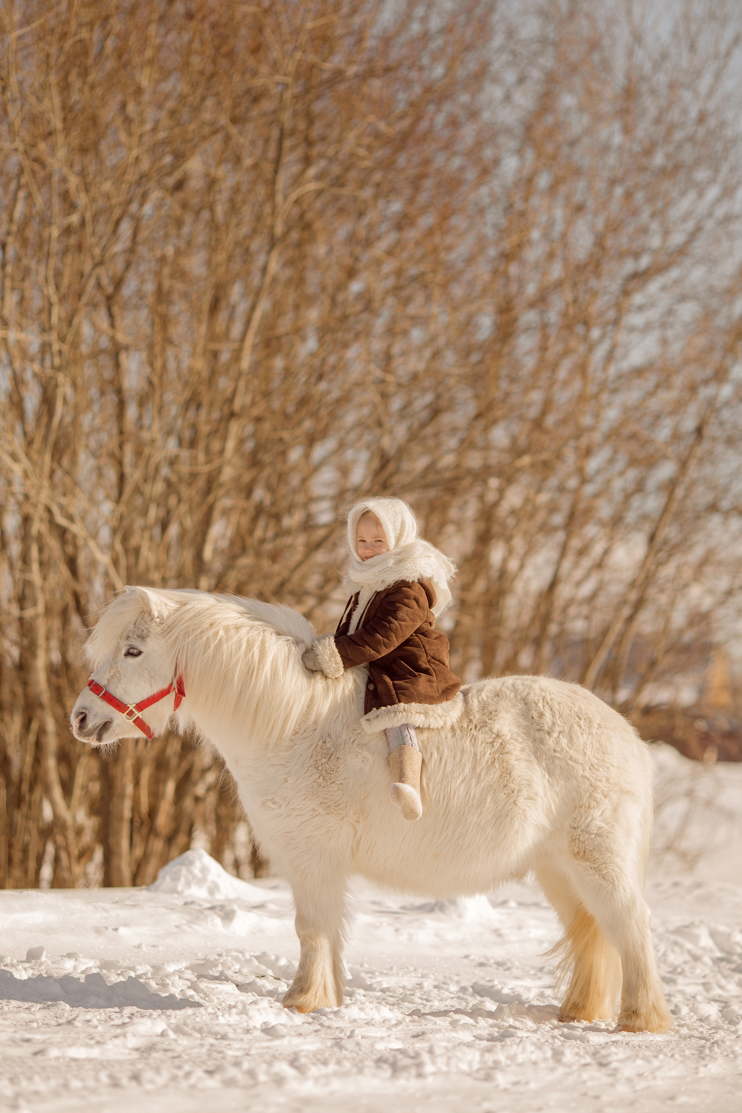 Деревенские фото ребенка с пони