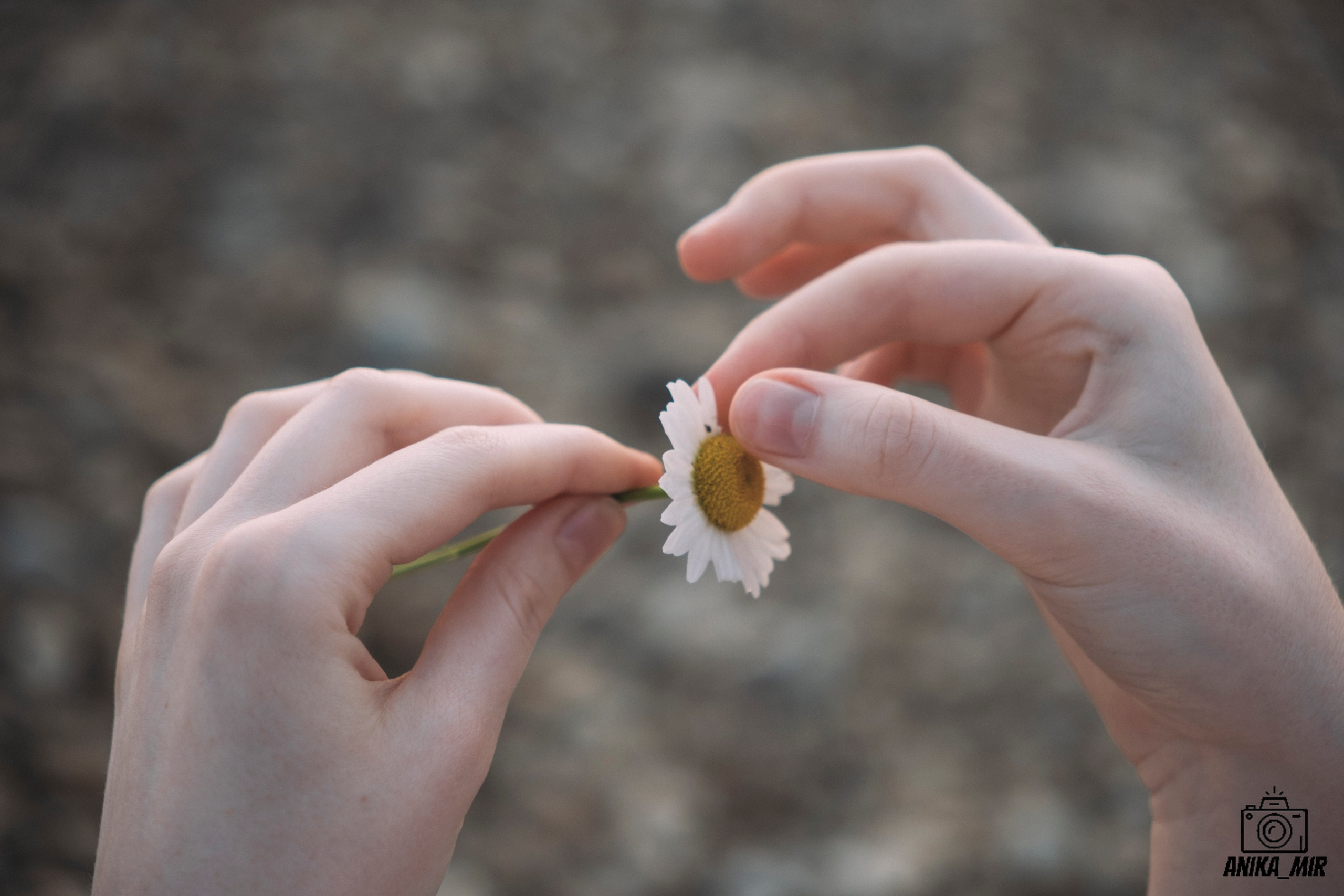 На берегу. Фотограф в Иркутске Анна Мирошникова