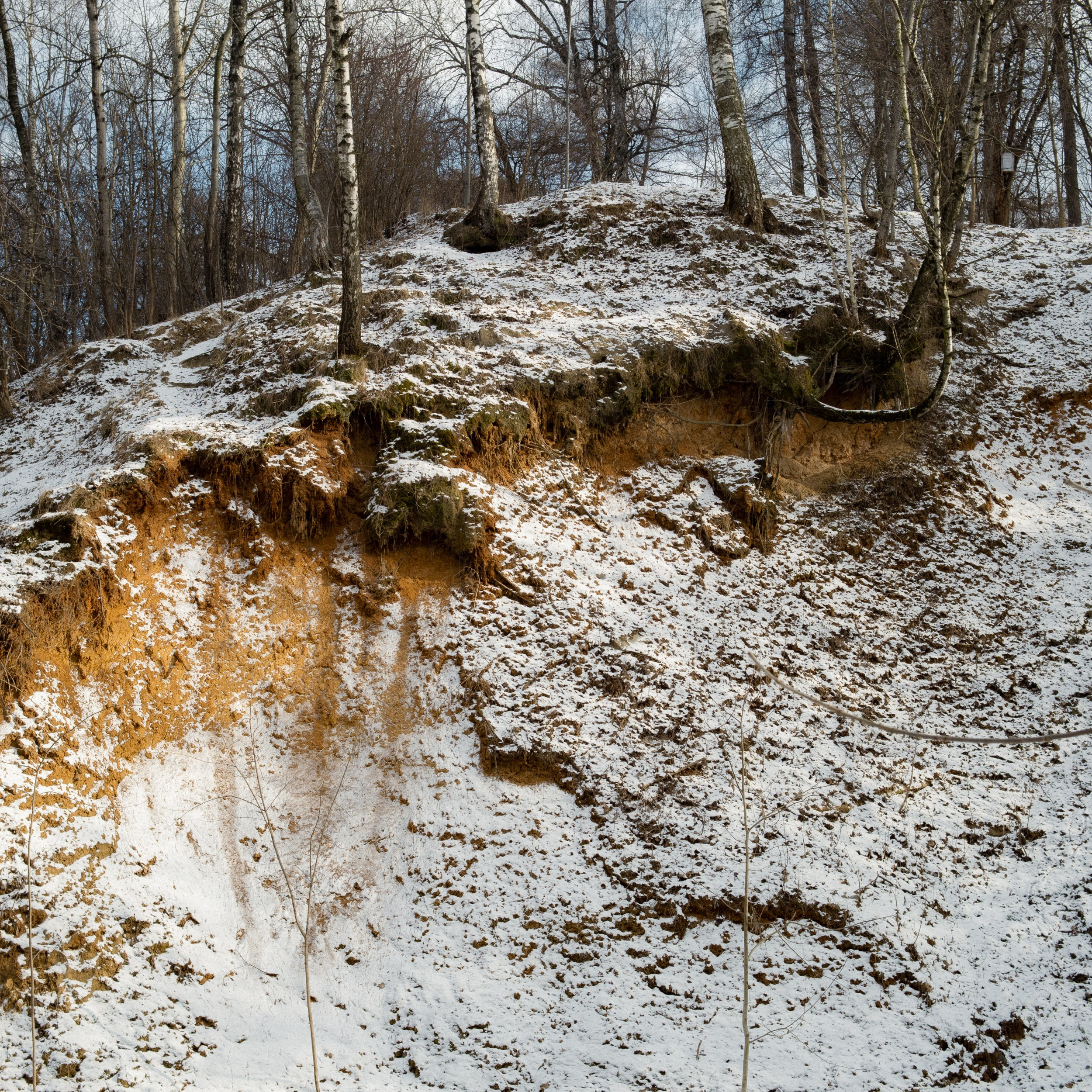 Оттепель. Photographer Pavel Romashchenko