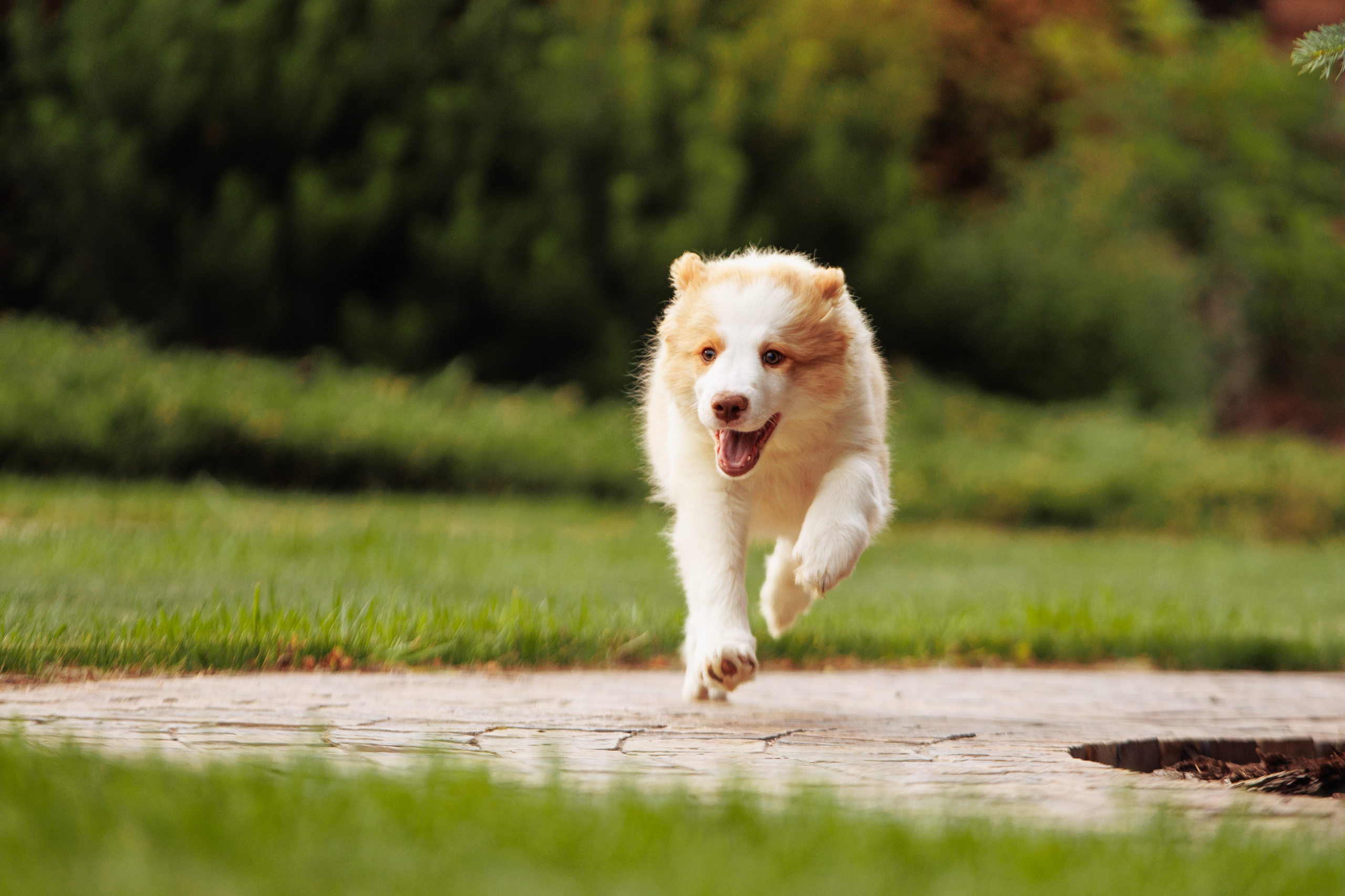 СОлнечные. О нас