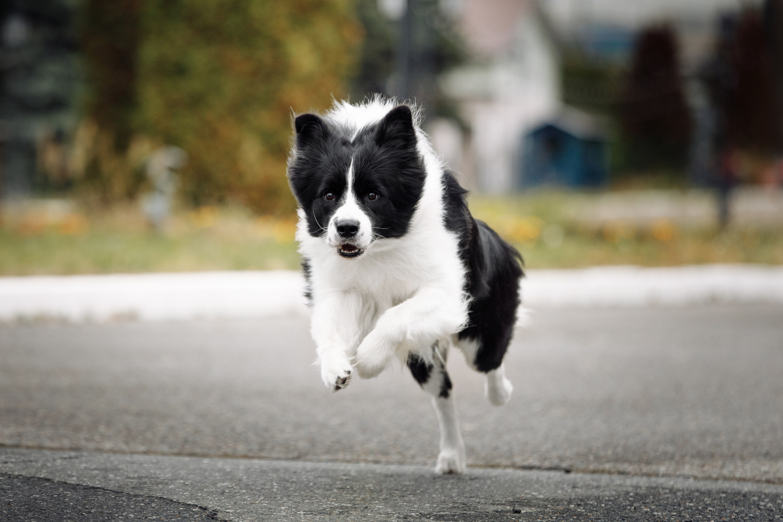 Казань. О нас