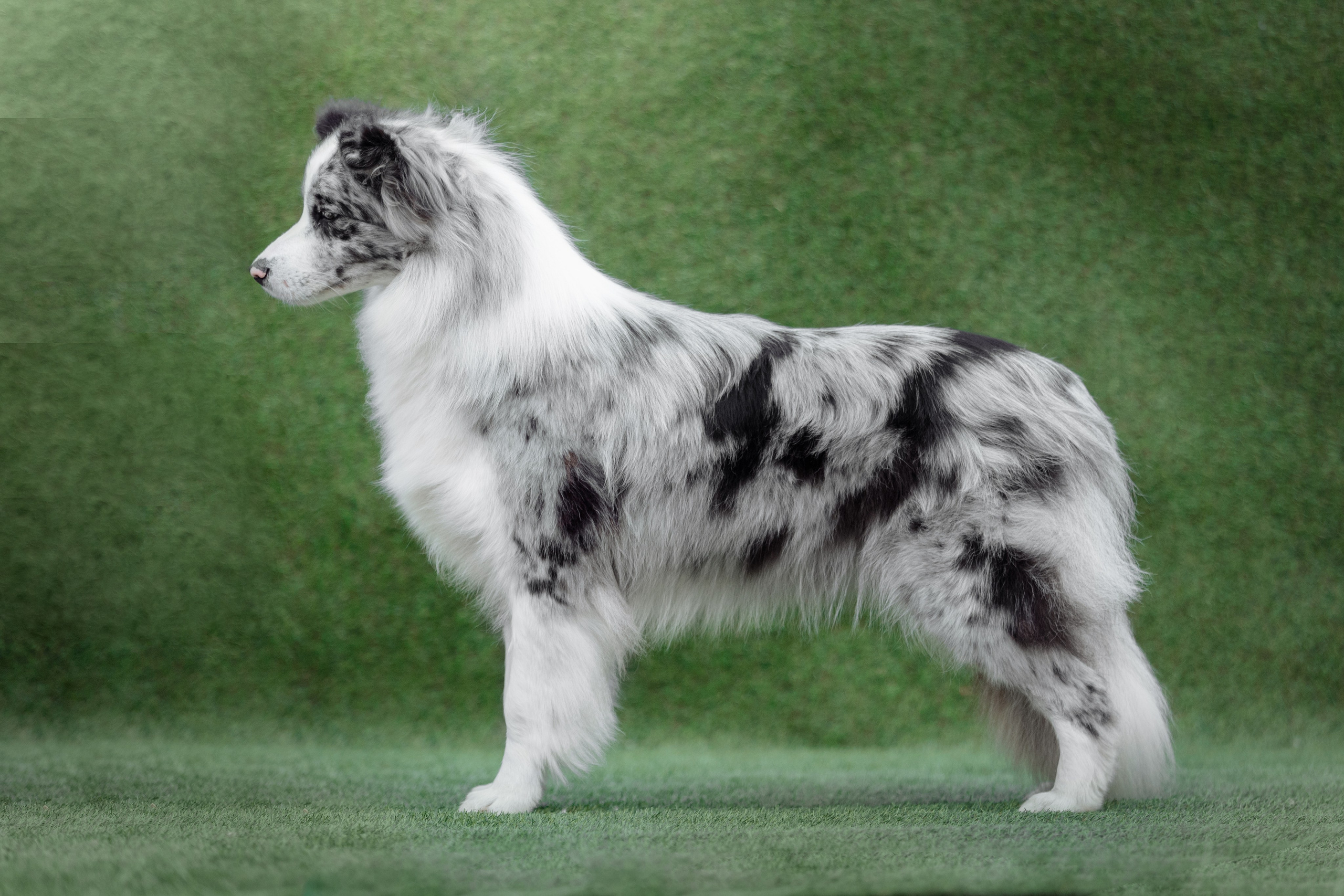 Свое место. О нас