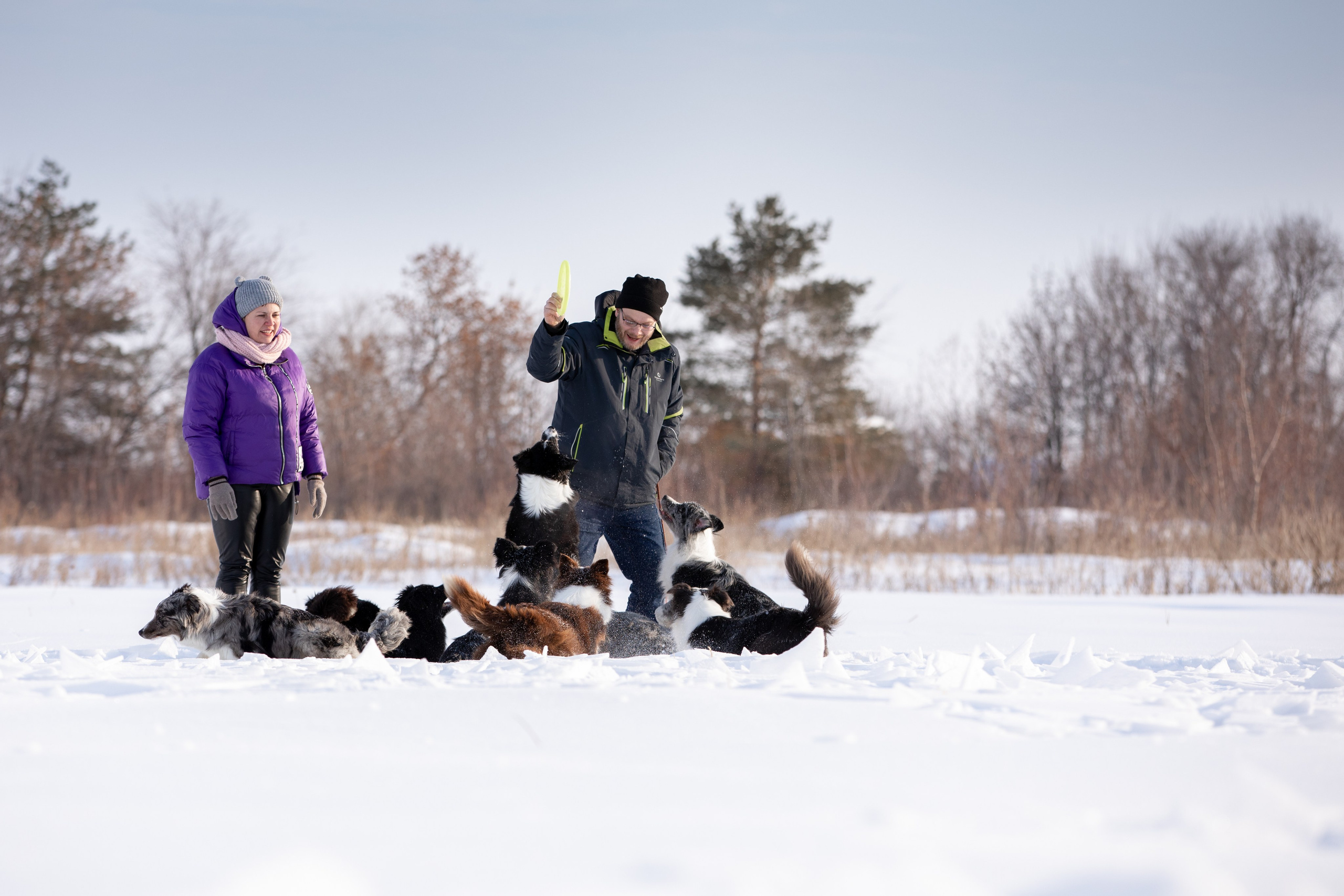 Мороз и солнце. О нас