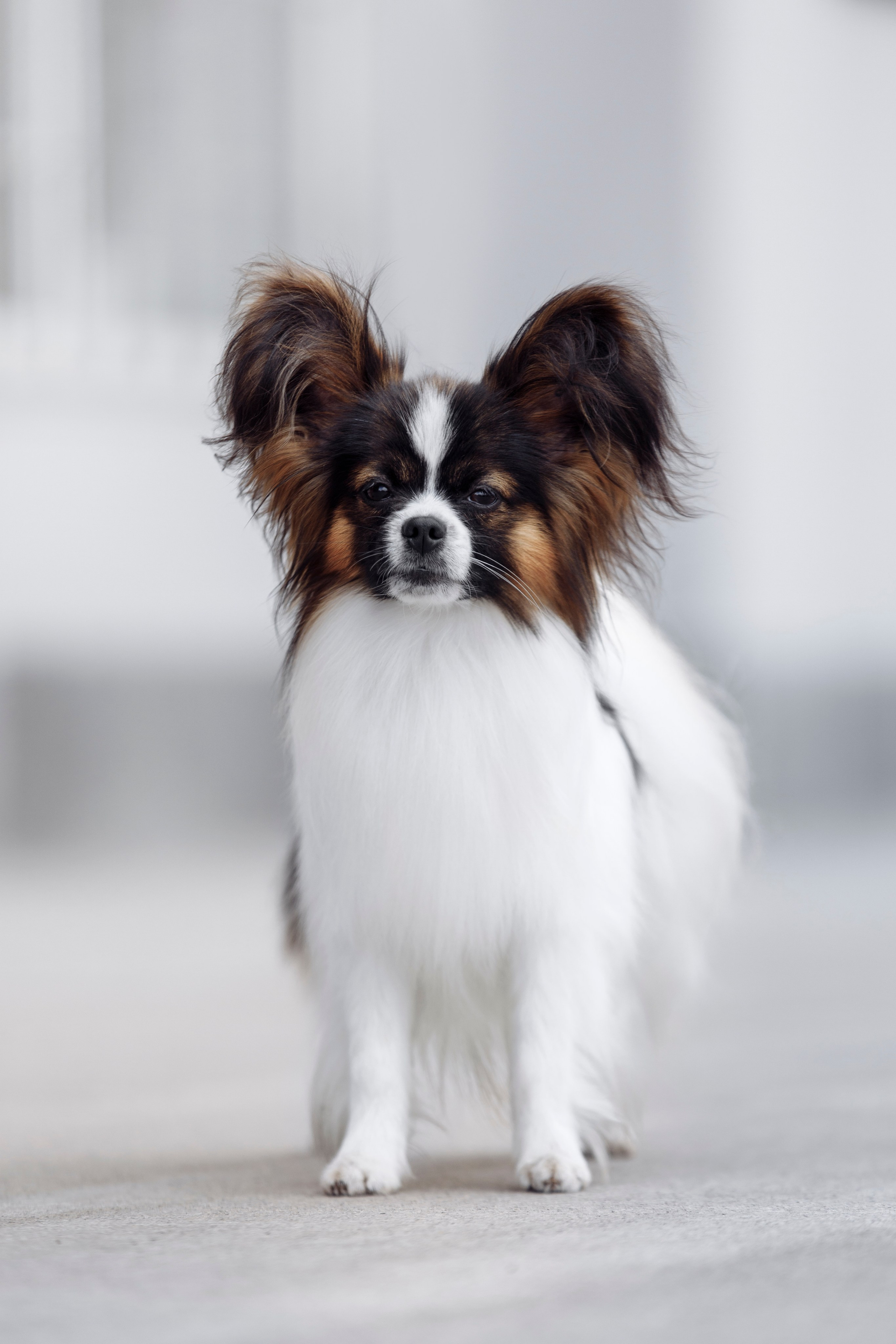 Магнитка 22. О нас